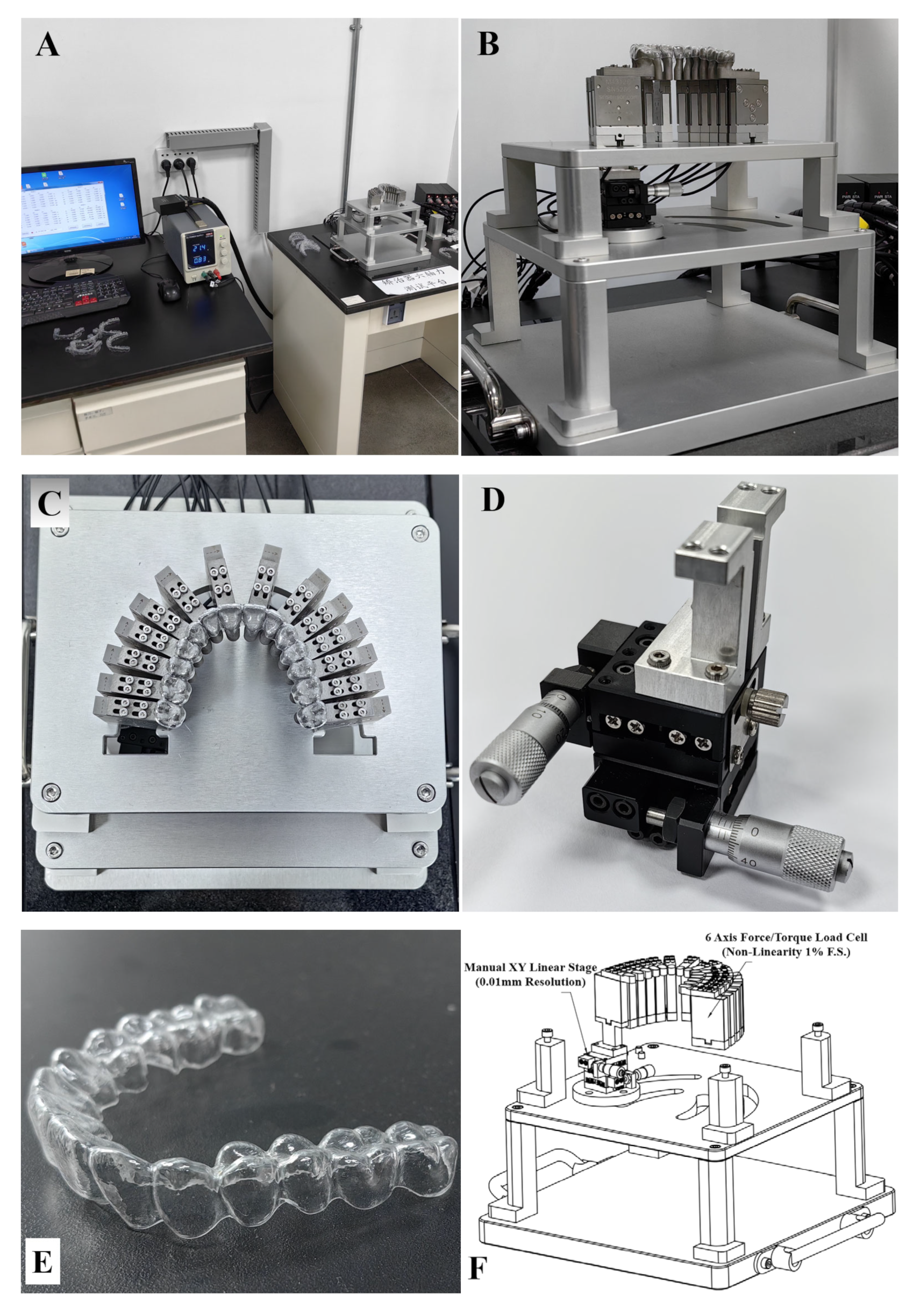 Bioengineering 12 00110 g005