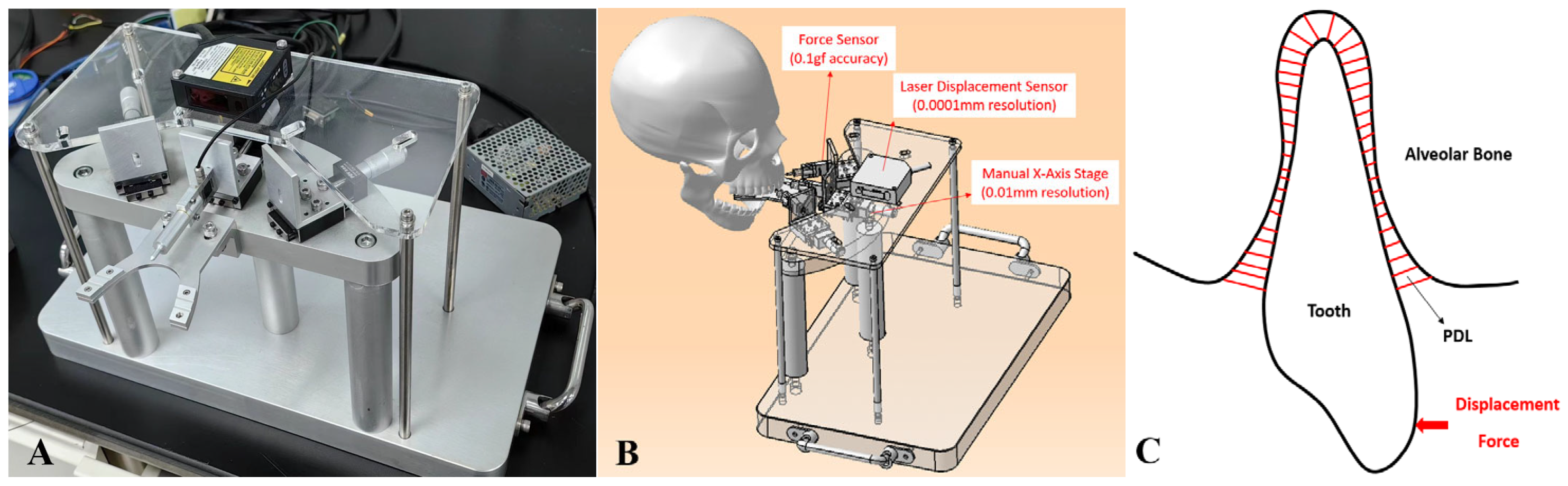 Bioengineering 12 00110 g013