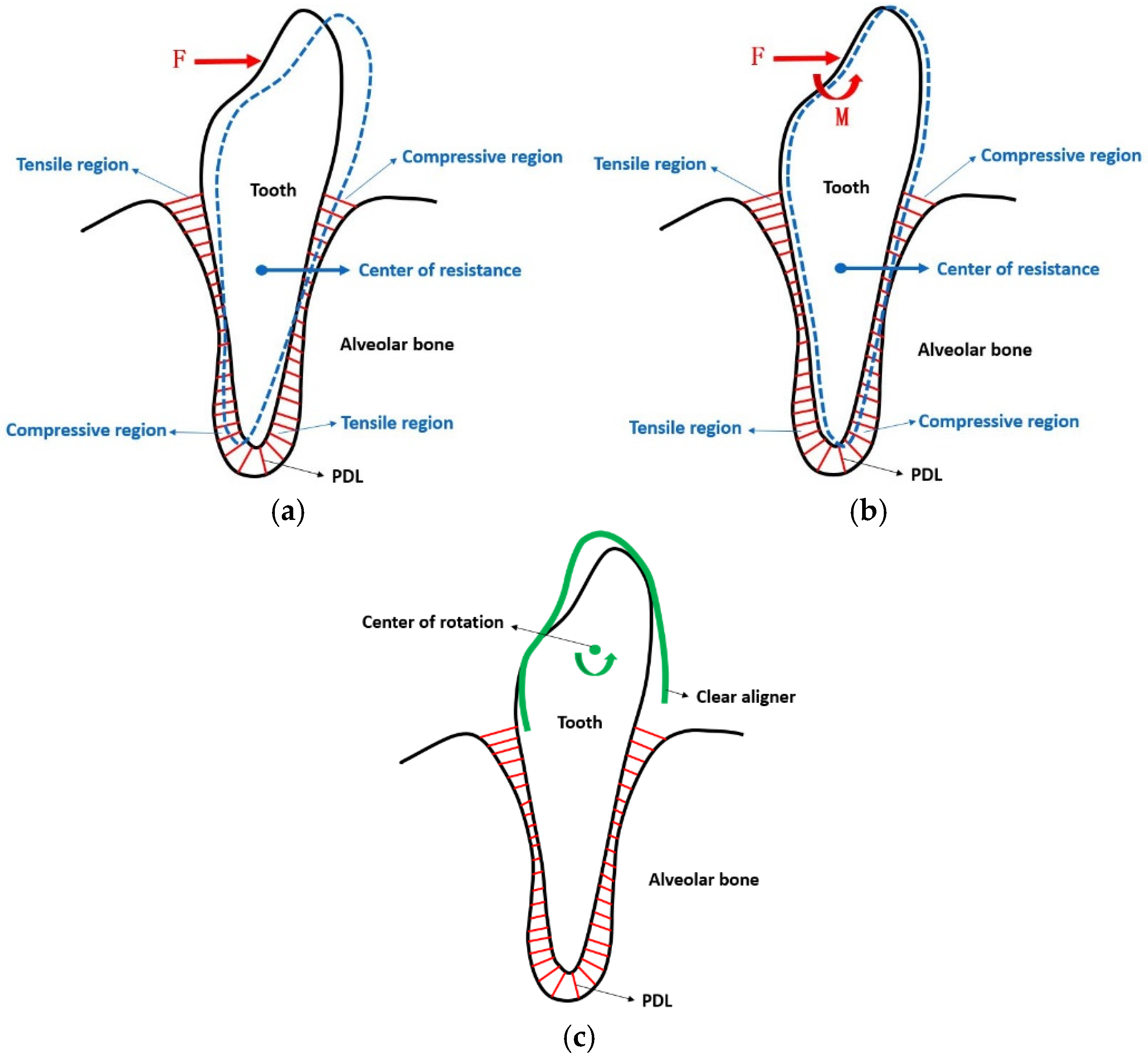 Bioengineering 12 00111 g012