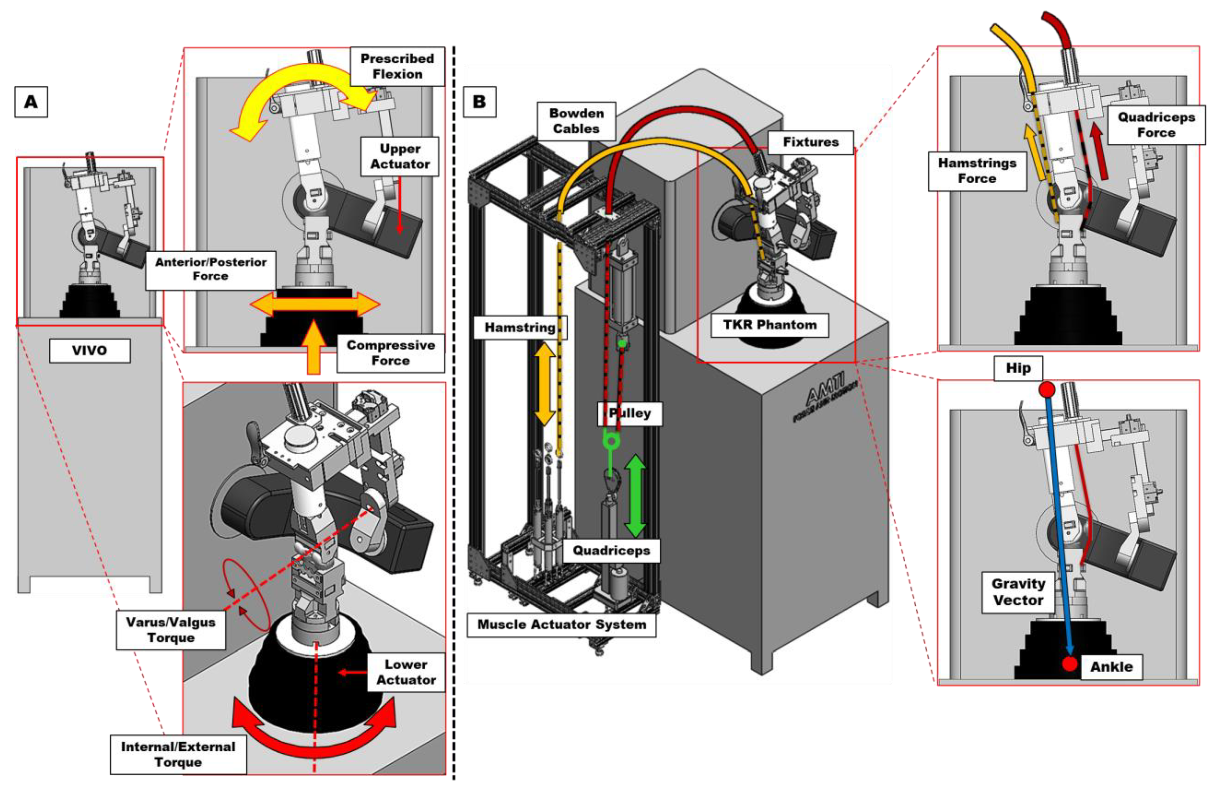 Bioengineering 12 00112 g001