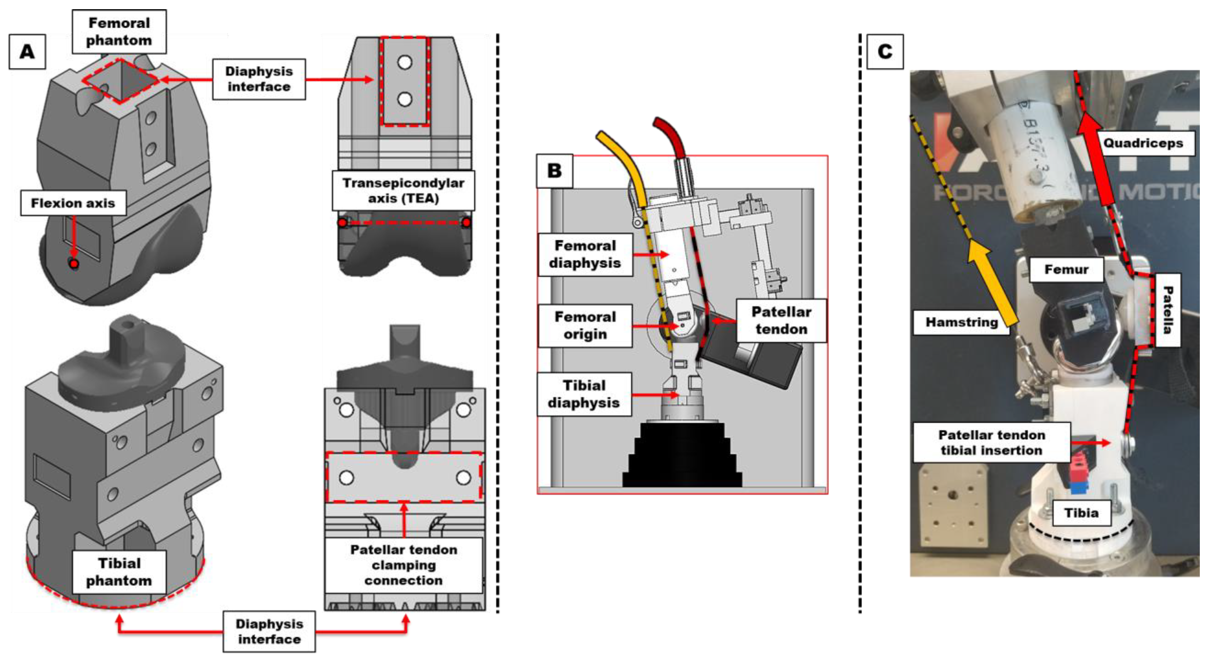 Bioengineering 12 00112 g002