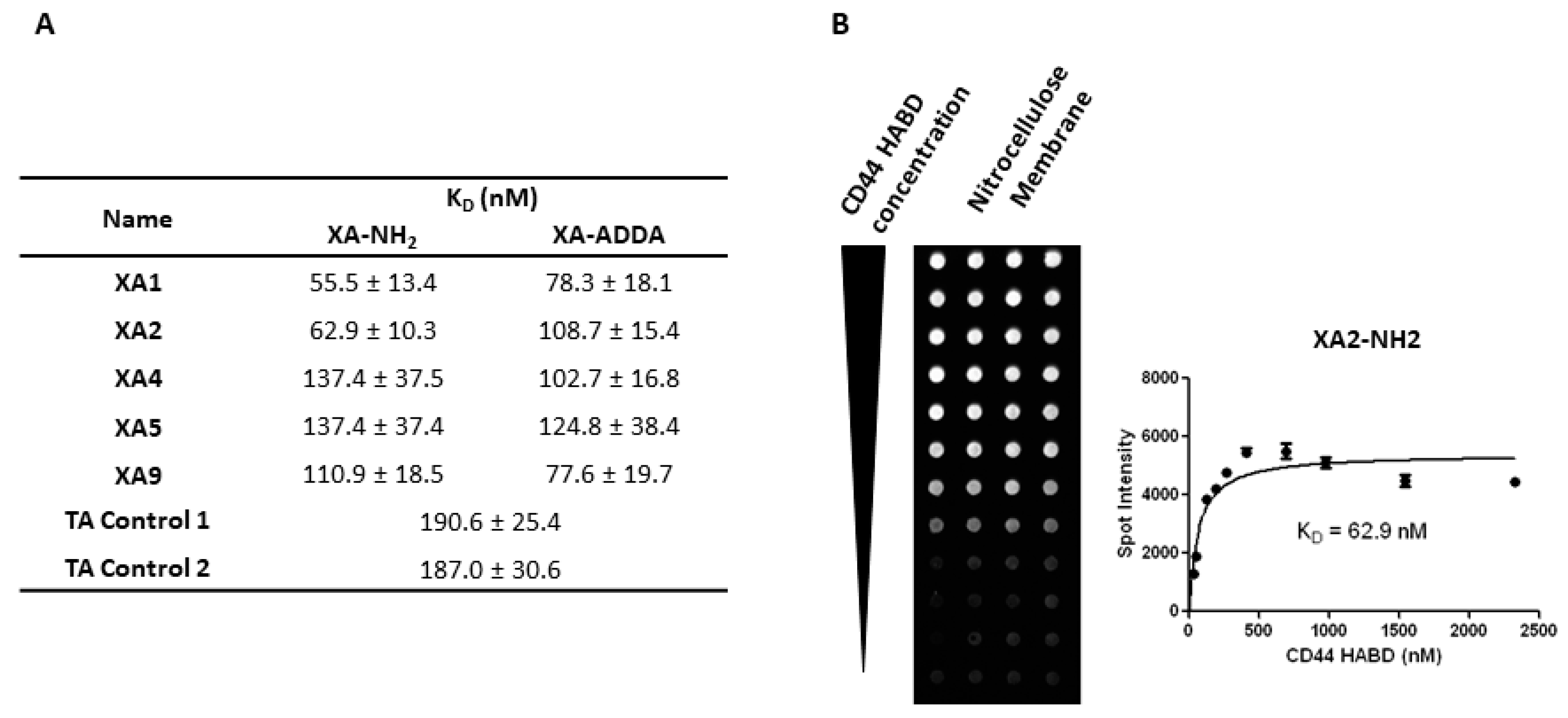 Bioengineering 12 00113 g002