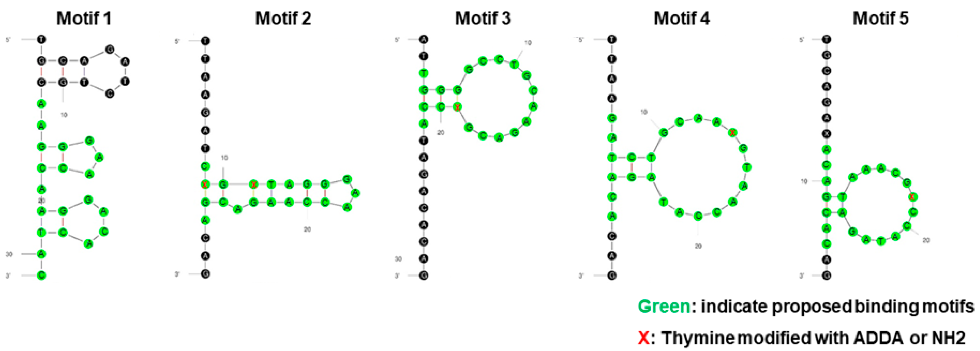 Bioengineering 12 00113 g003