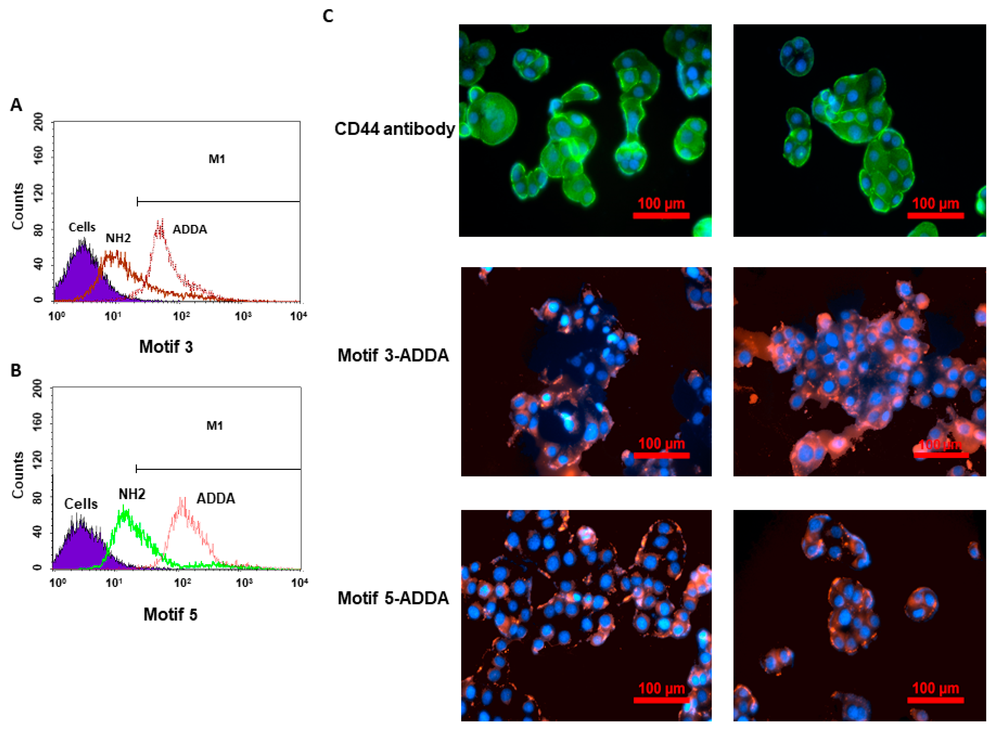 Bioengineering 12 00113 g005