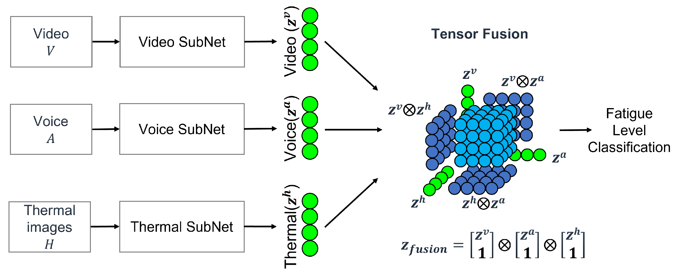 Bioengineering 12 00116 g005