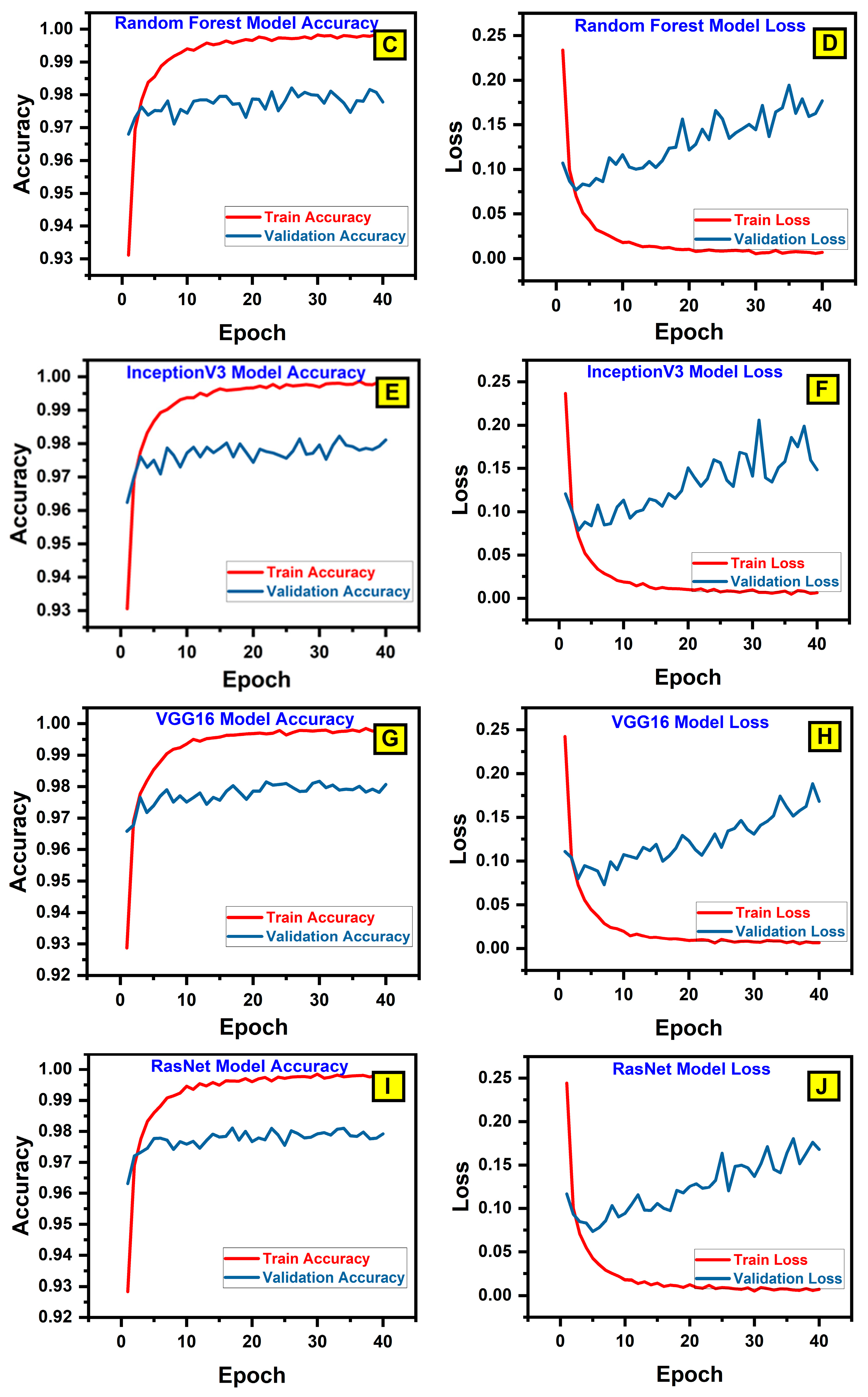 Bioengineering 12 00119 g006b