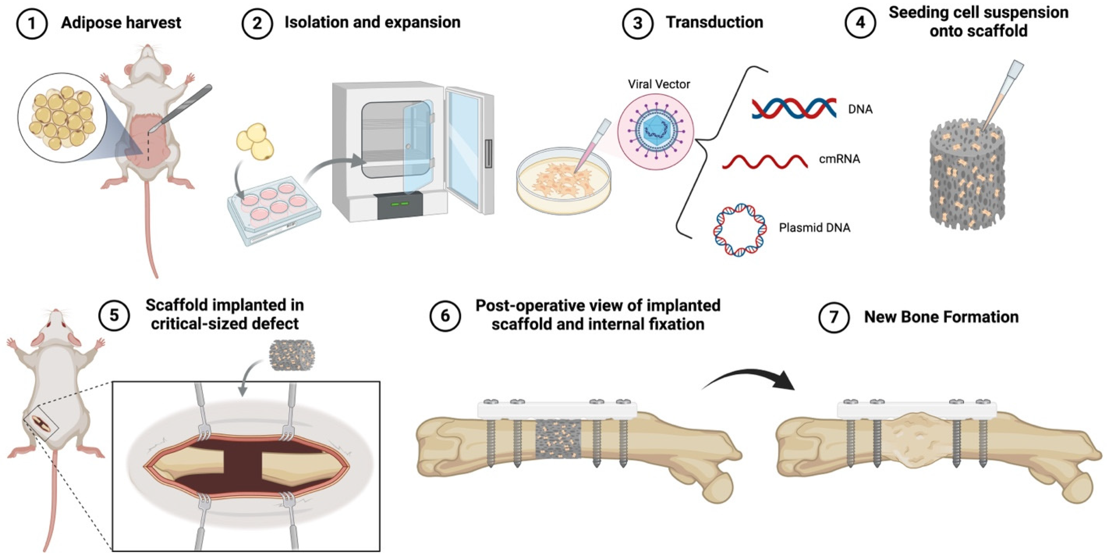 Bioengineering 12 00120 g003 Bioengineering 12 00120 g003