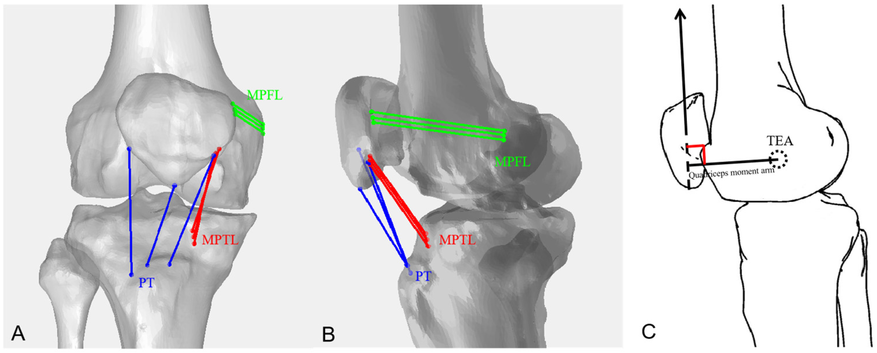 Bioengineering 12 00123 g002