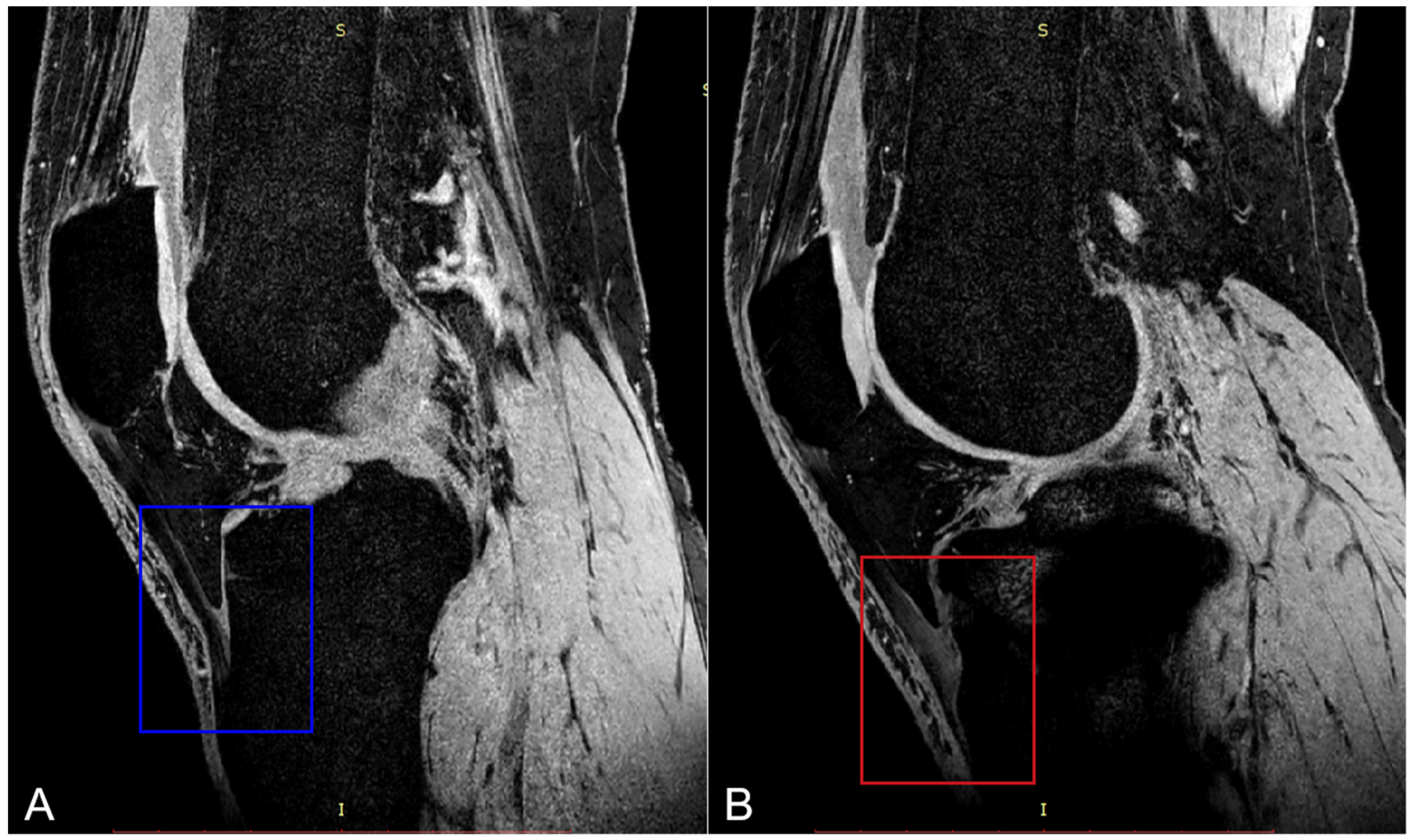 Bioengineering 12 00123 g007