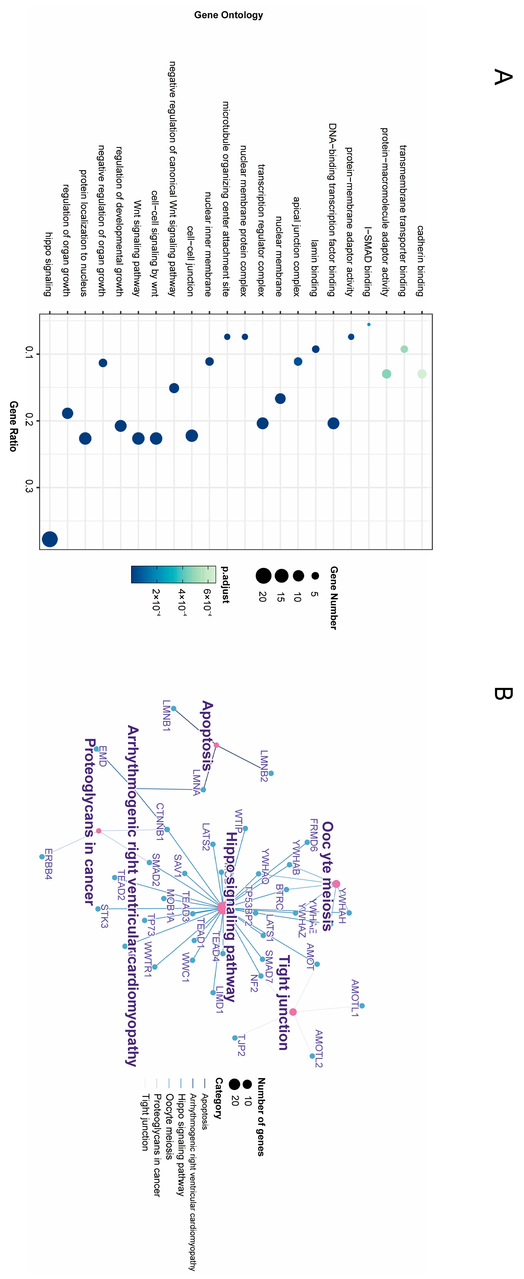 Bioengineering 12 00126 g003