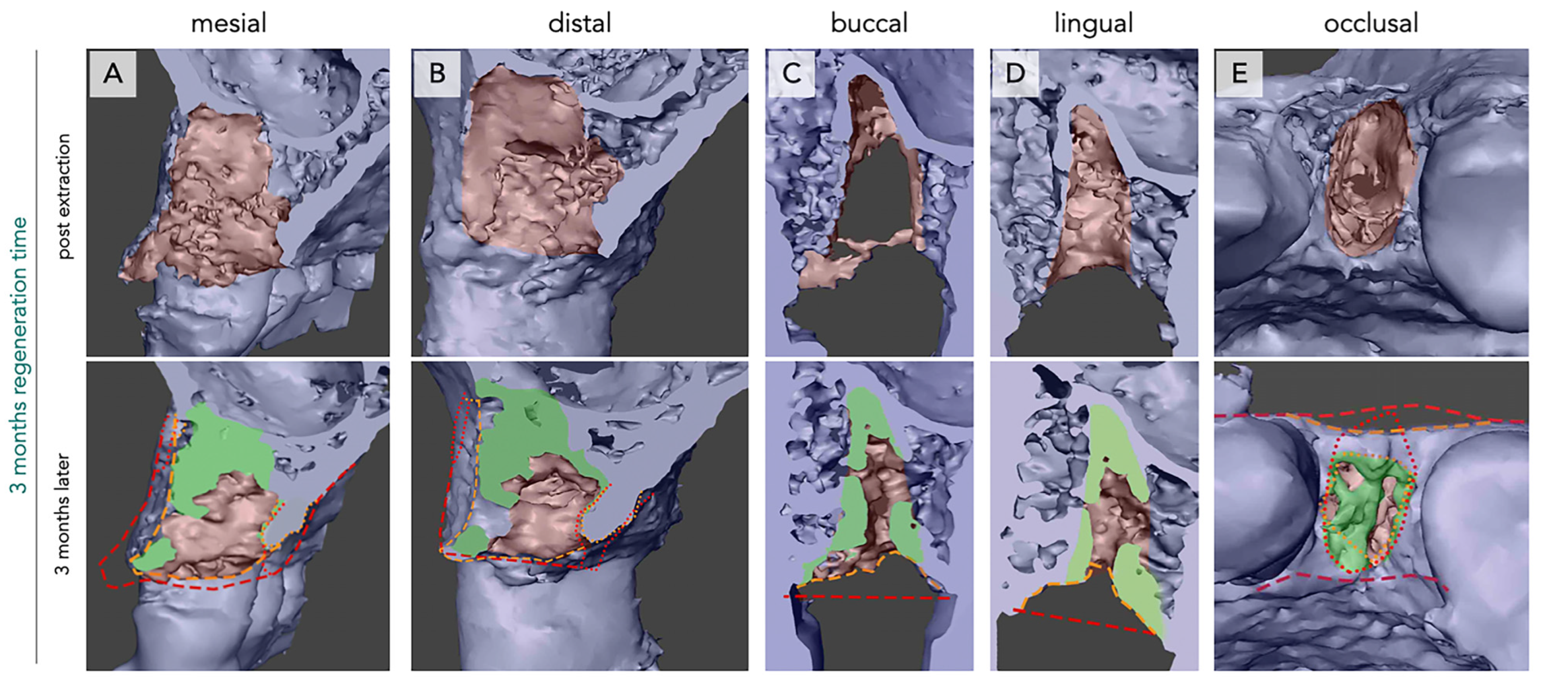 Bioengineering 12 00128 g001