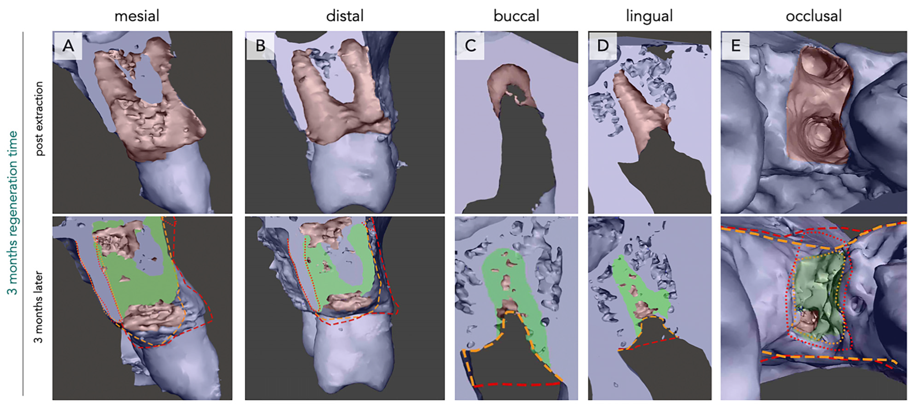 Bioengineering 12 00128 g002