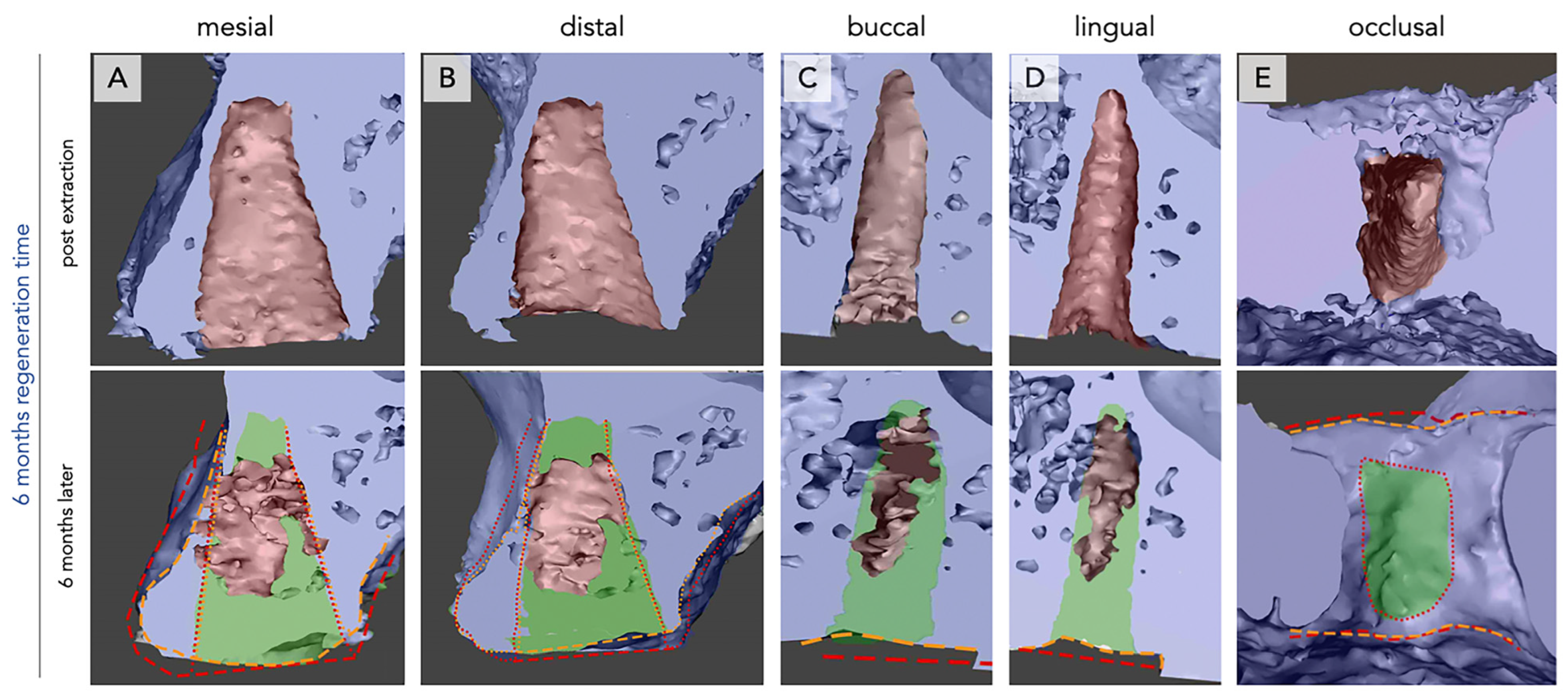 Bioengineering 12 00128 g003