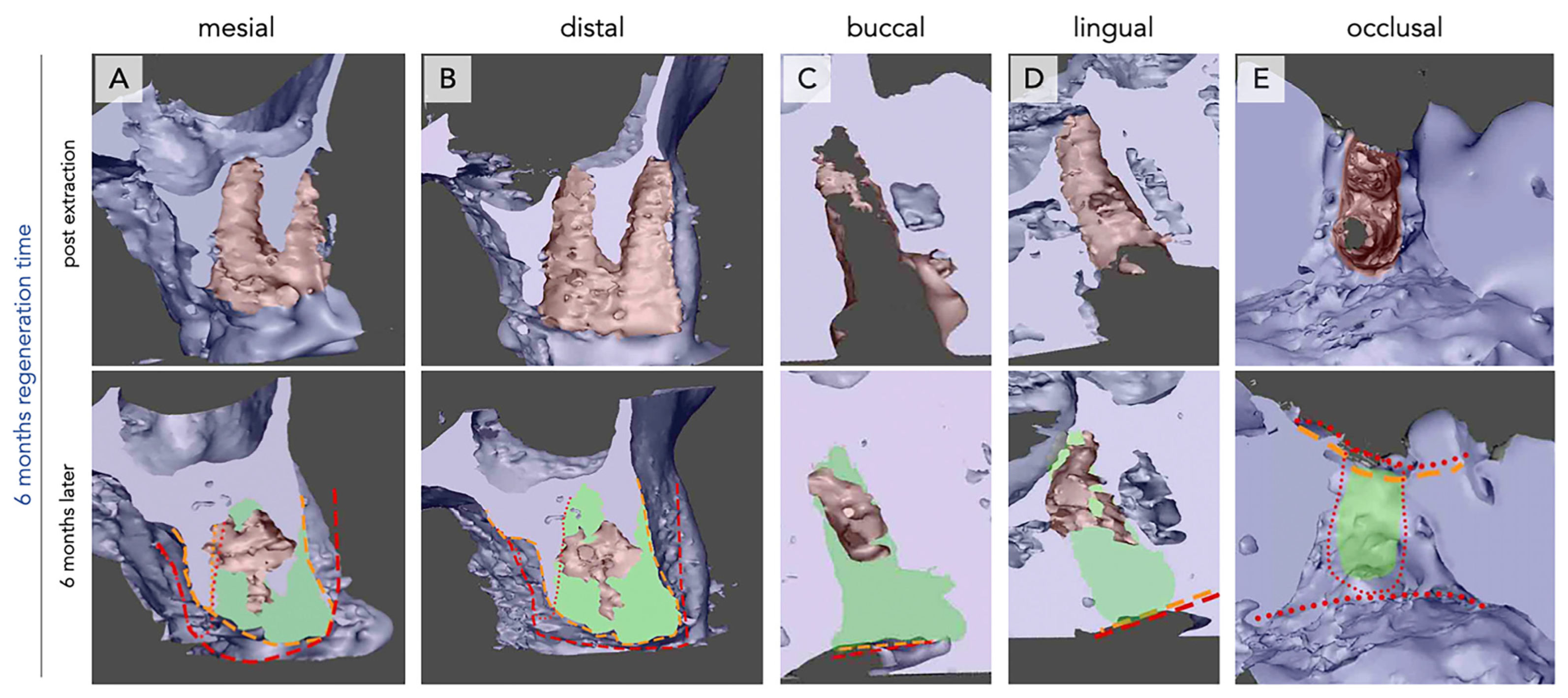 Bioengineering 12 00128 g004