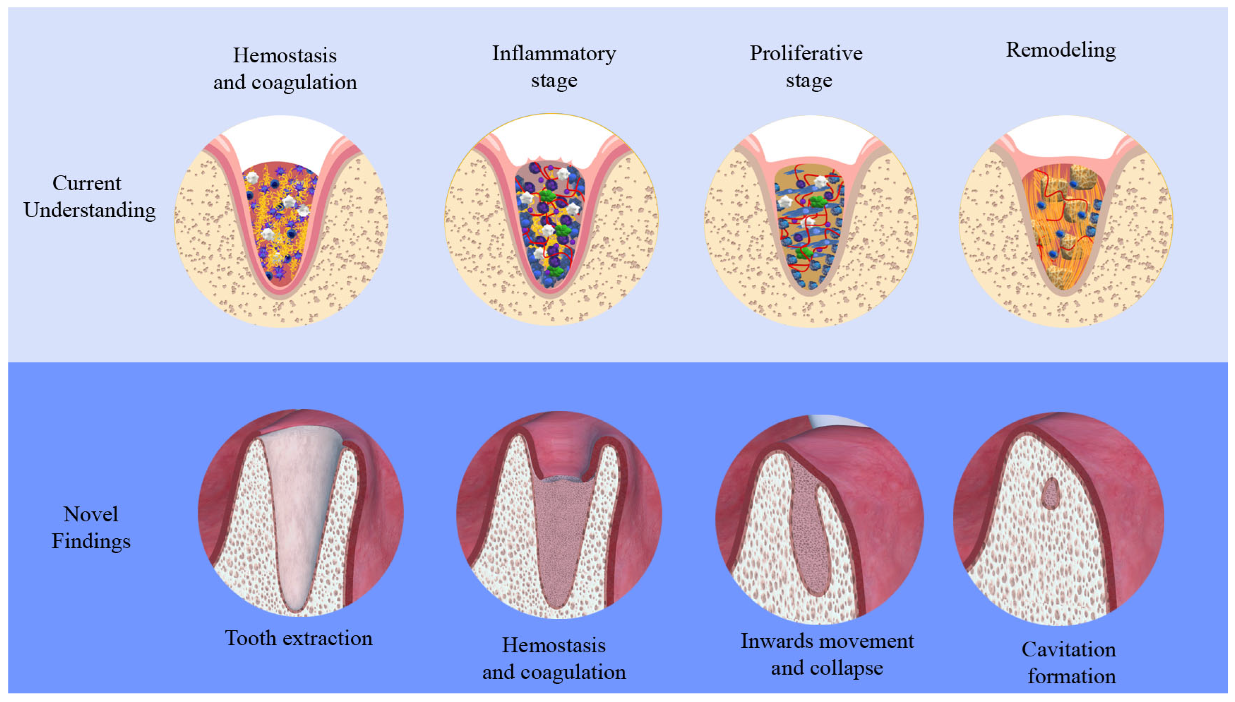 Bioengineering 12 00128 g006