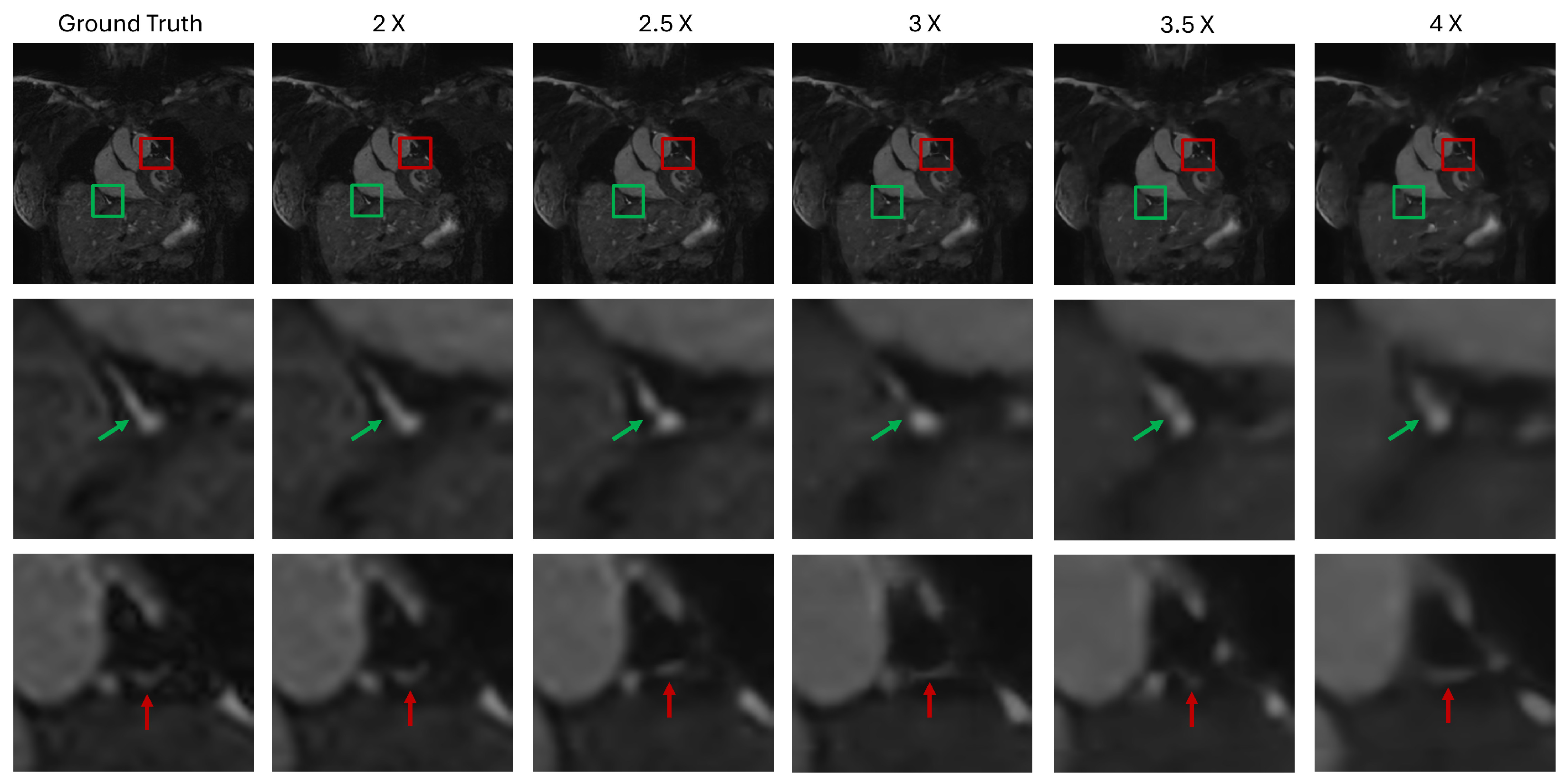 Bioengineering 12 00129 g006