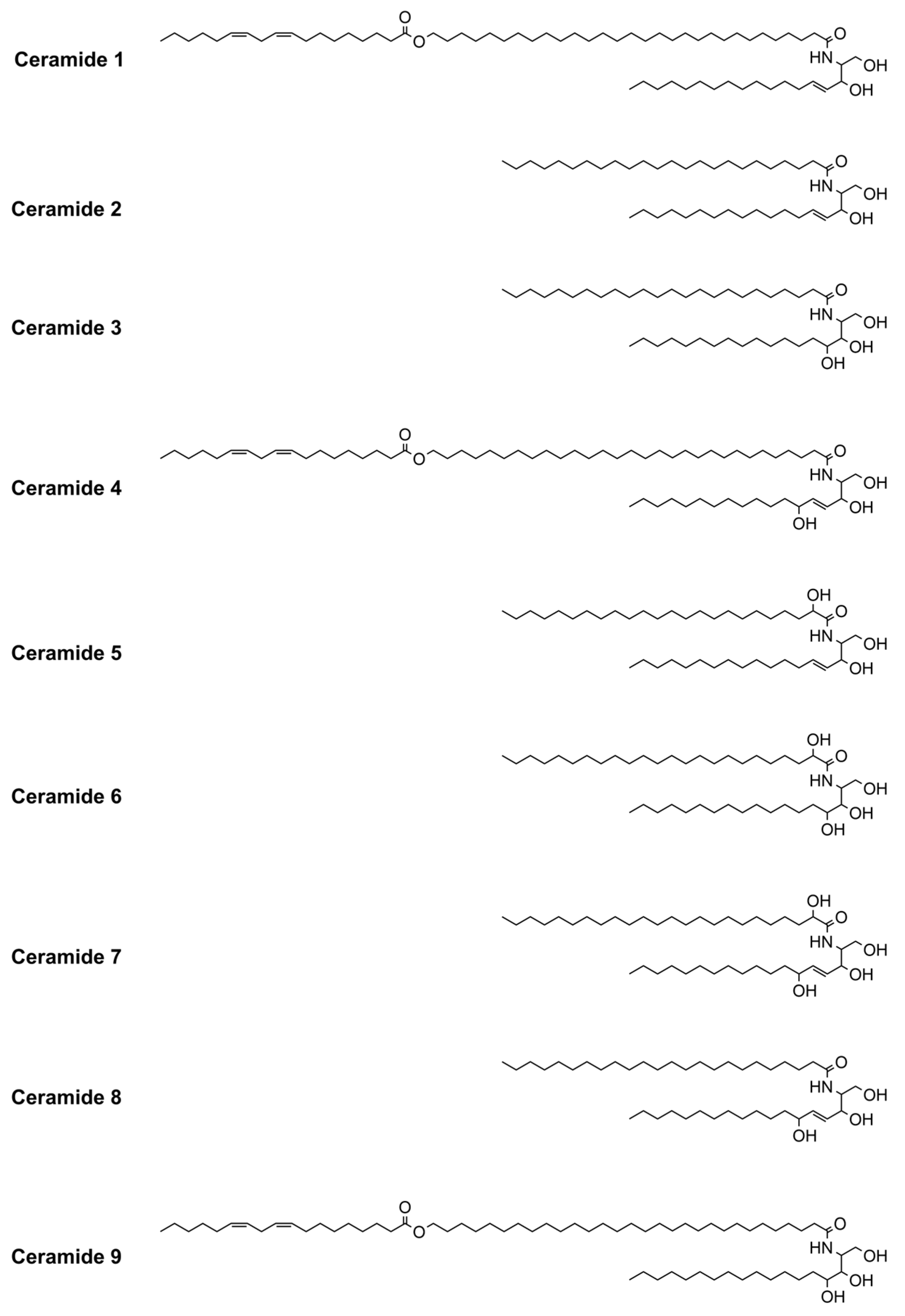 Bioengineering 12 00133 g001