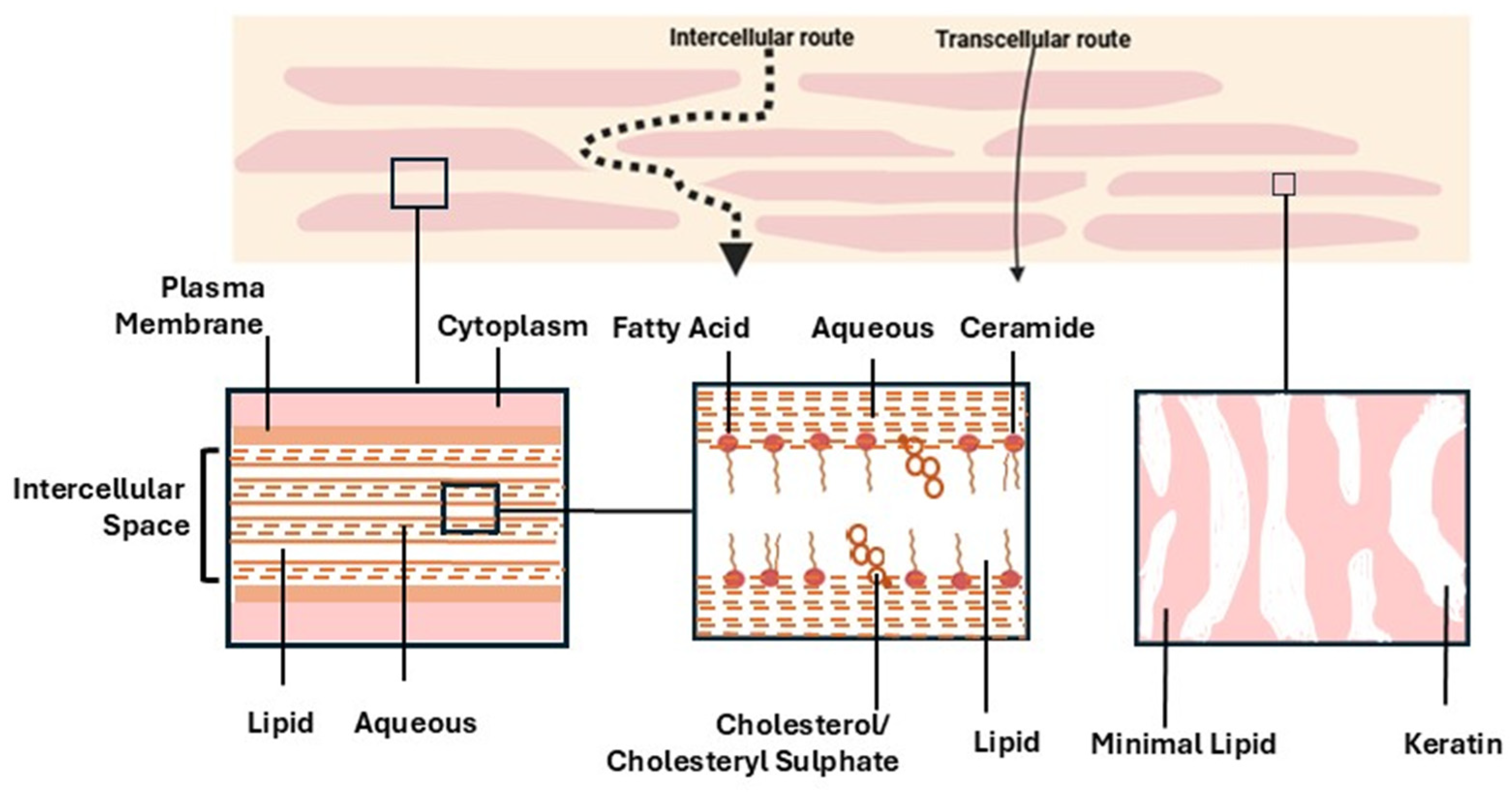 Bioengineering 12 00133 g002