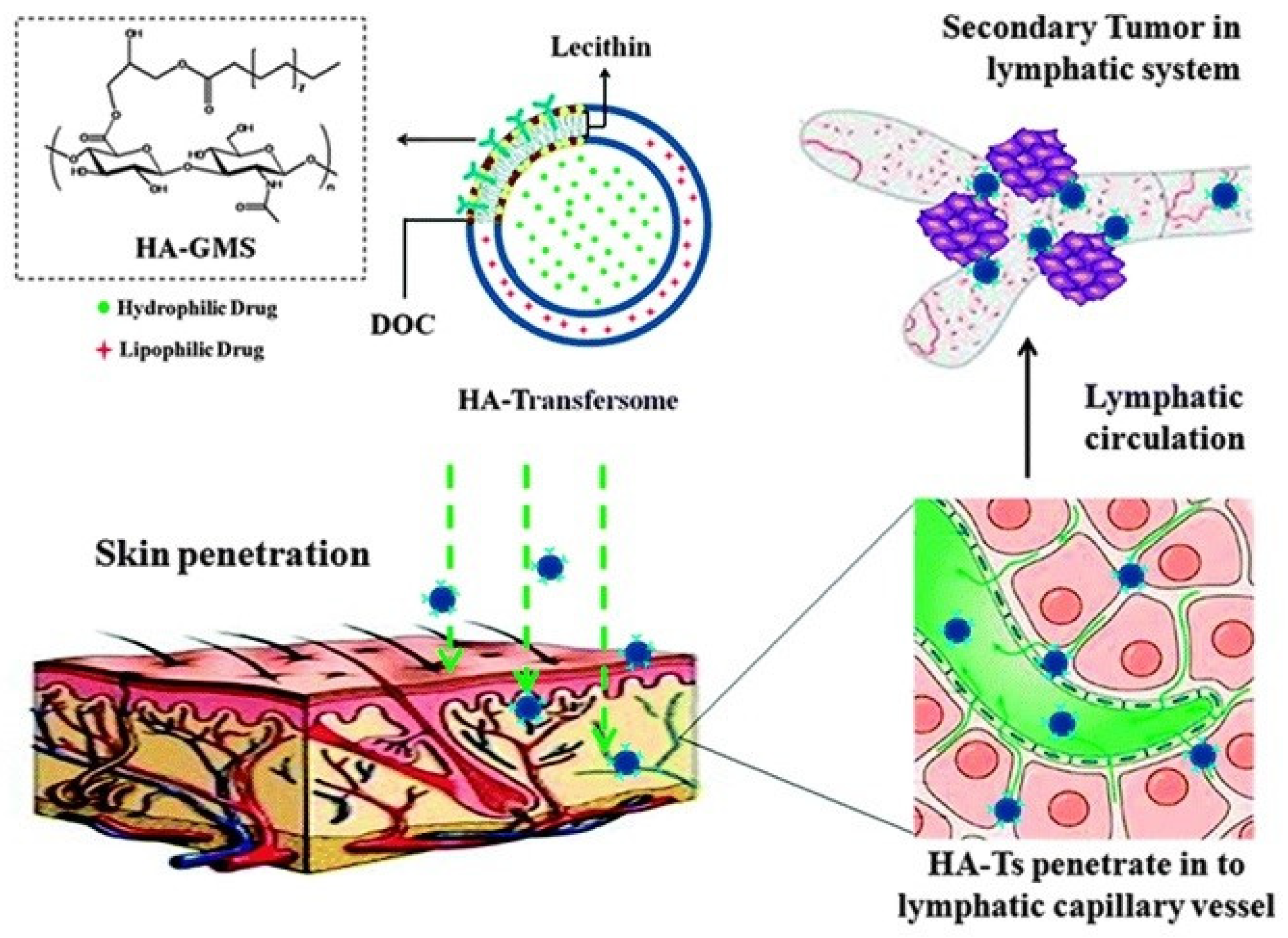 Bioengineering 12 00133 g003