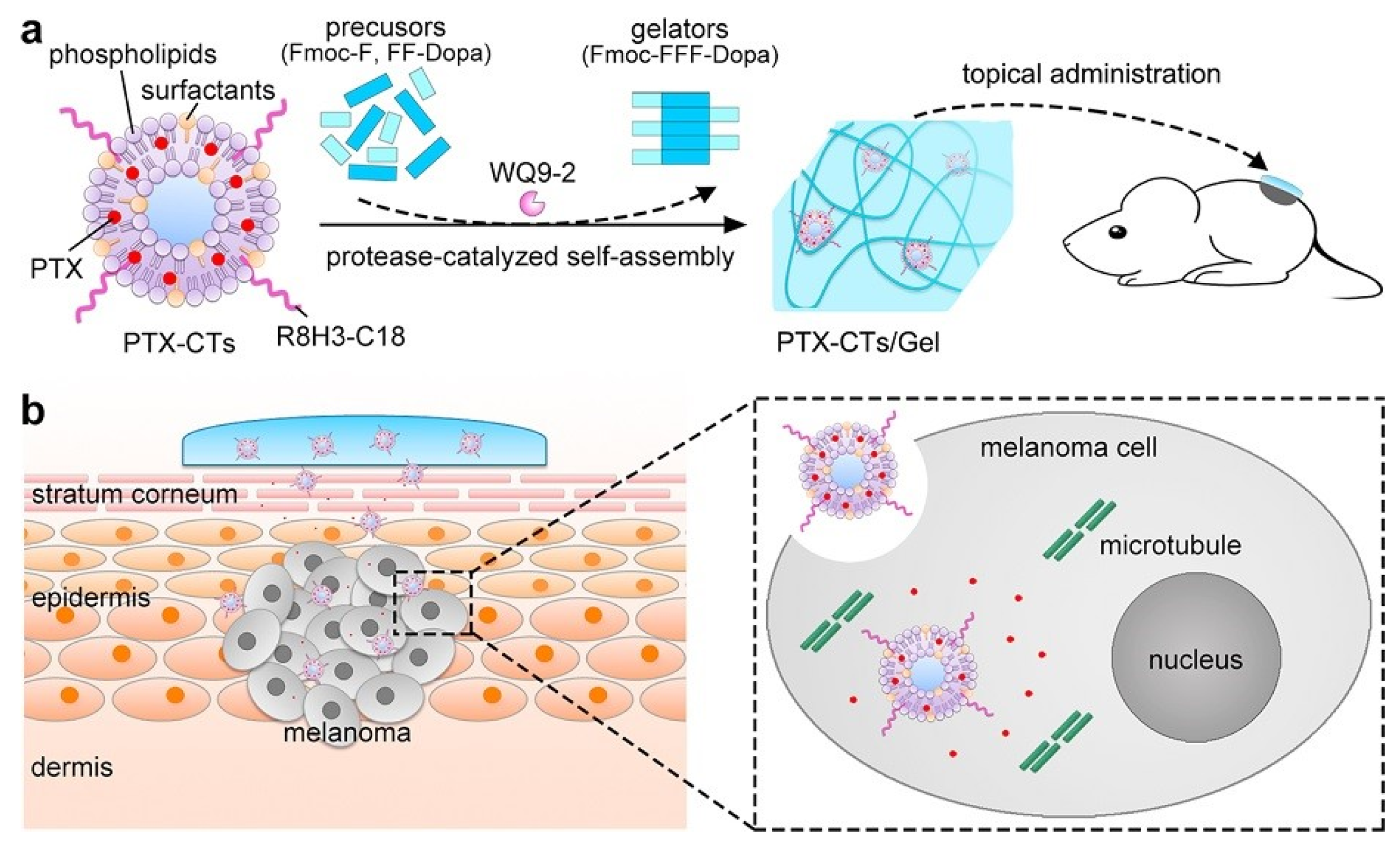 Bioengineering 12 00133 g004