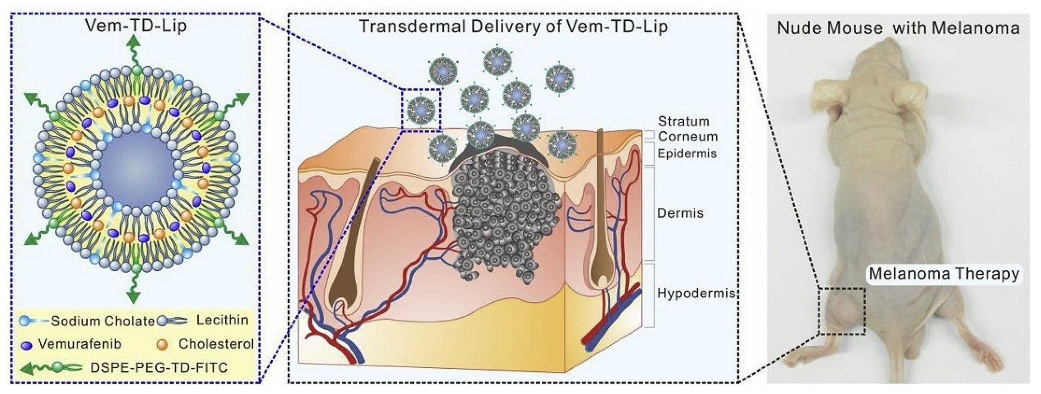 Bioengineering 12 00133 g005