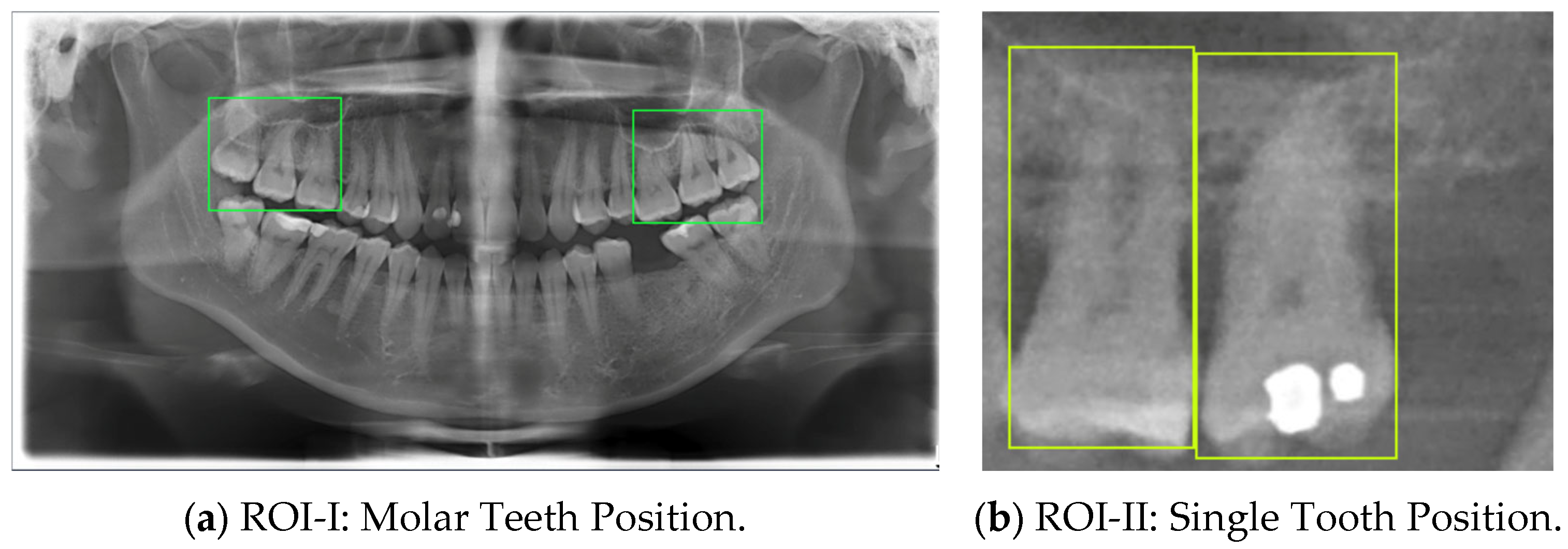 Bioengineering 12 00134 g003
