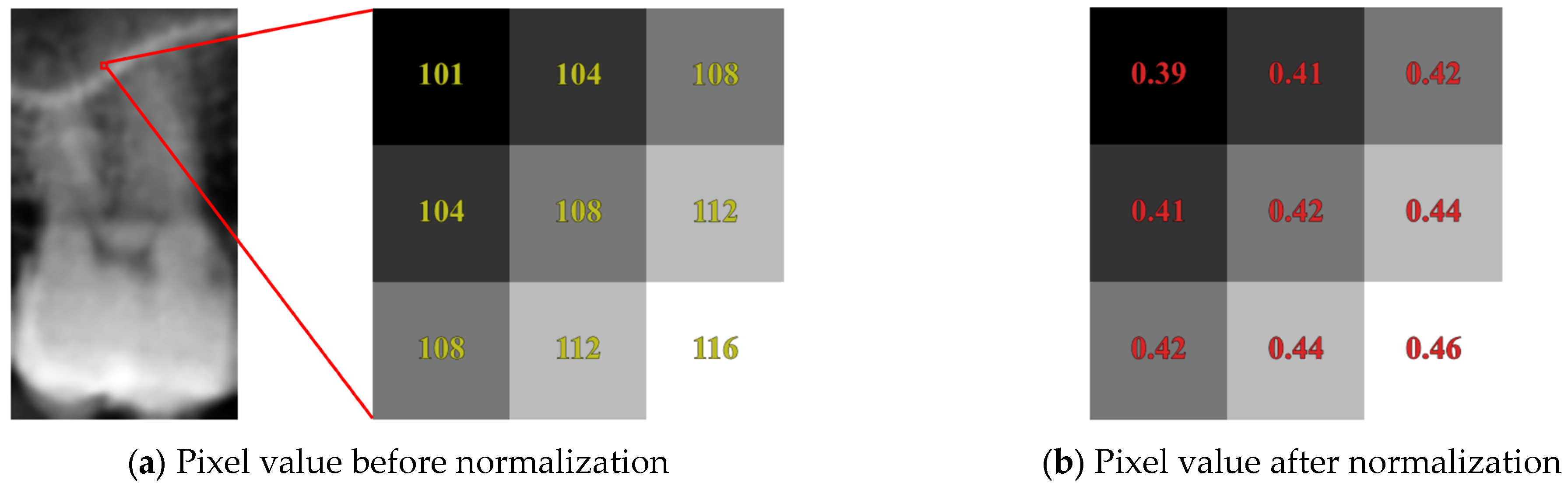 Bioengineering 12 00134 g006