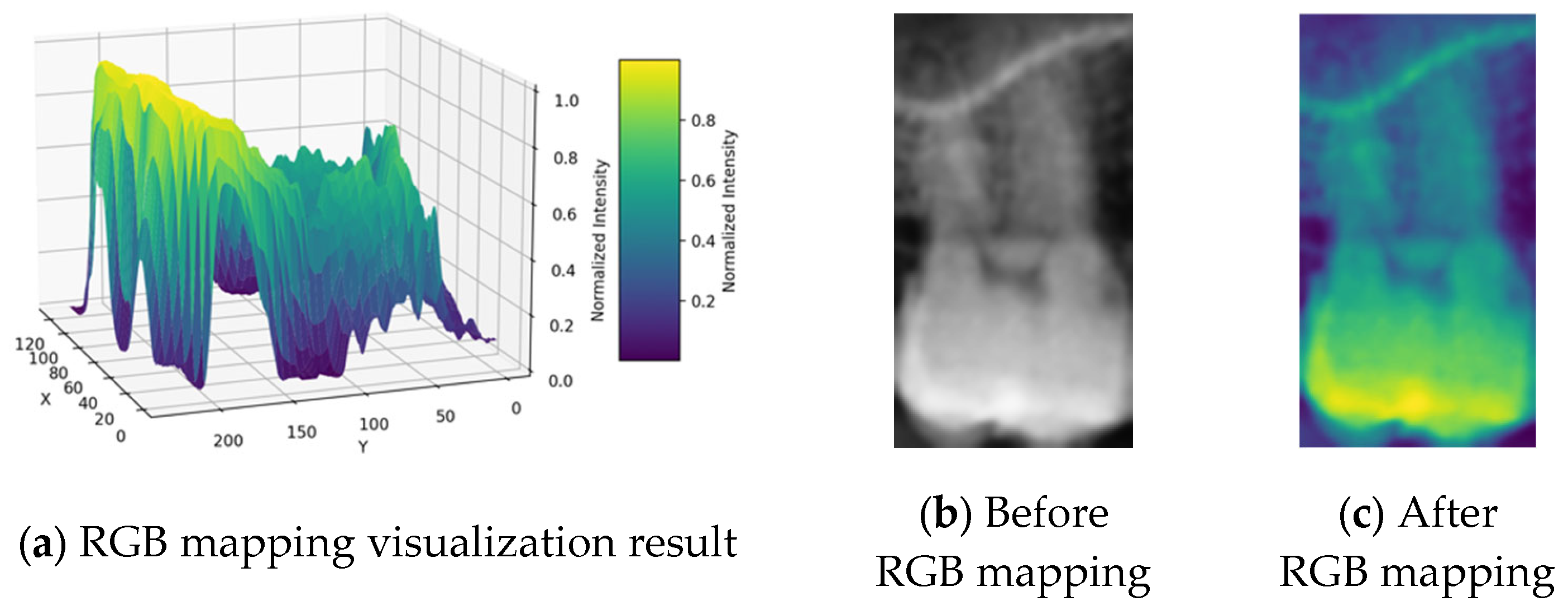 Bioengineering 12 00134 g007