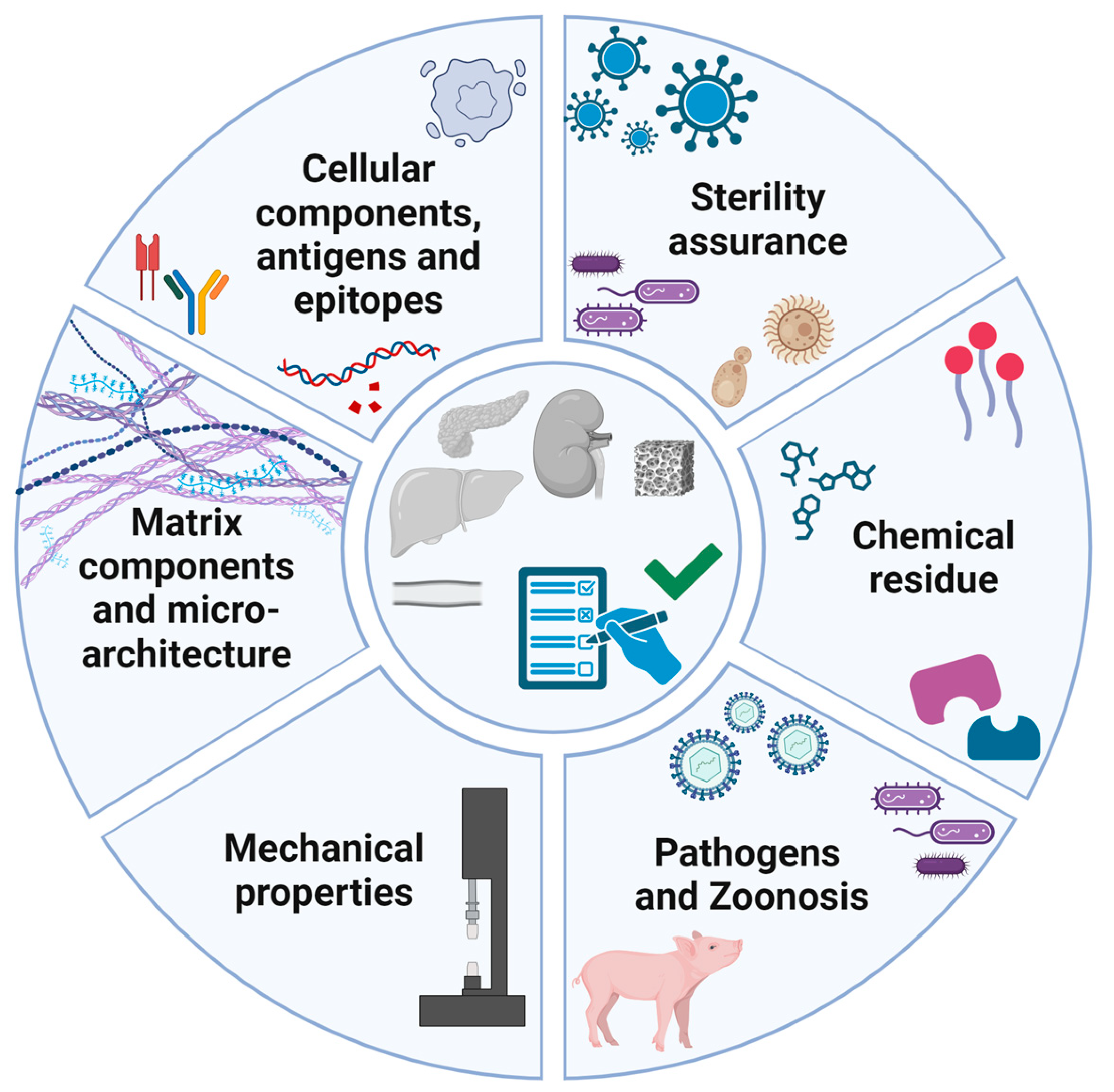 Bioengineering 12 00136 g002