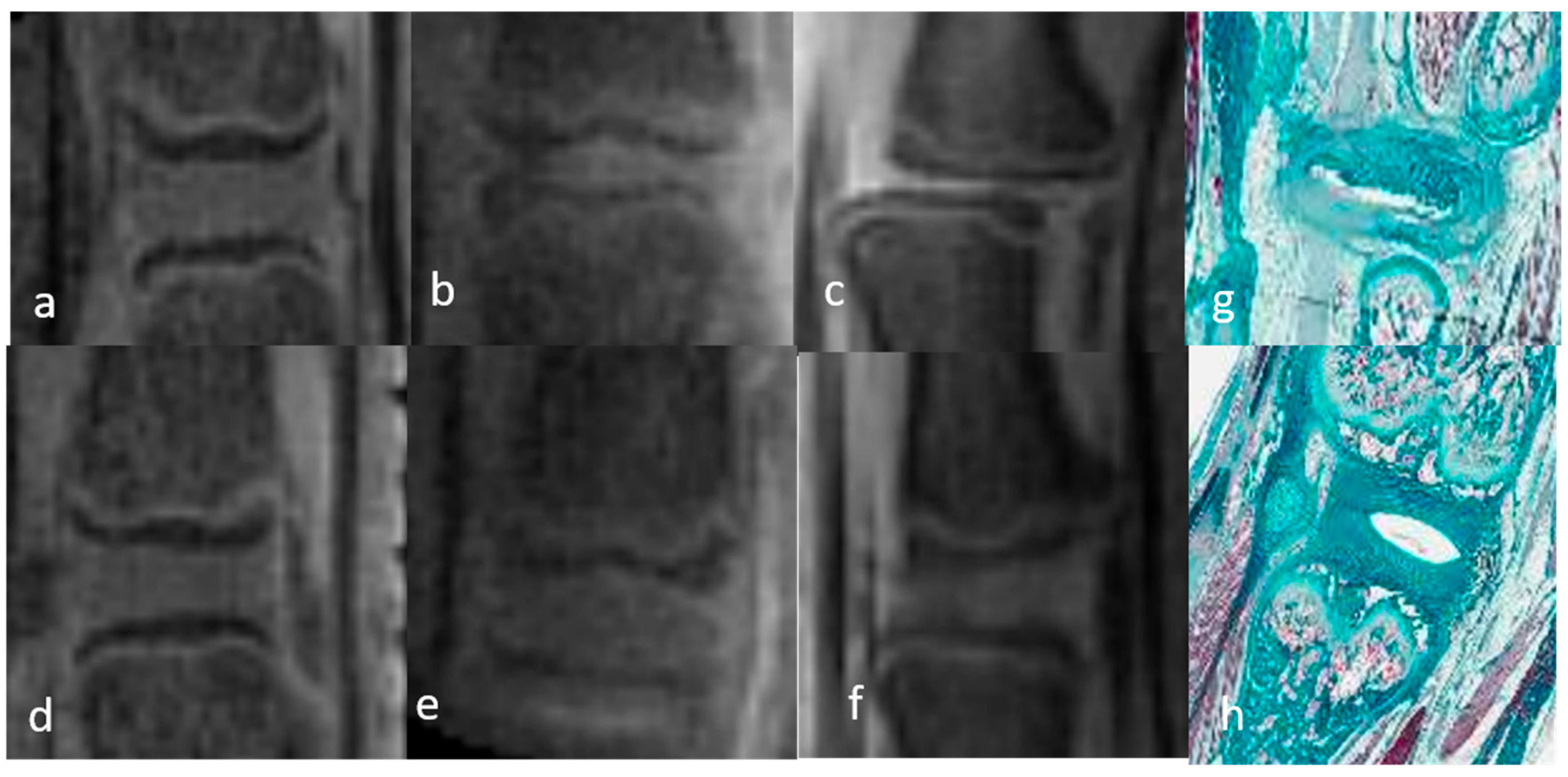 Bioengineering 12 00141 g002