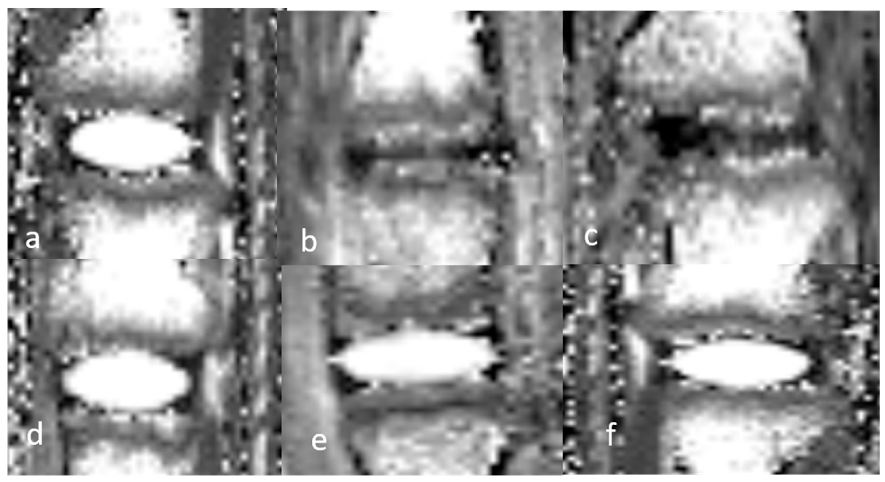 Bioengineering 12 00141 g003