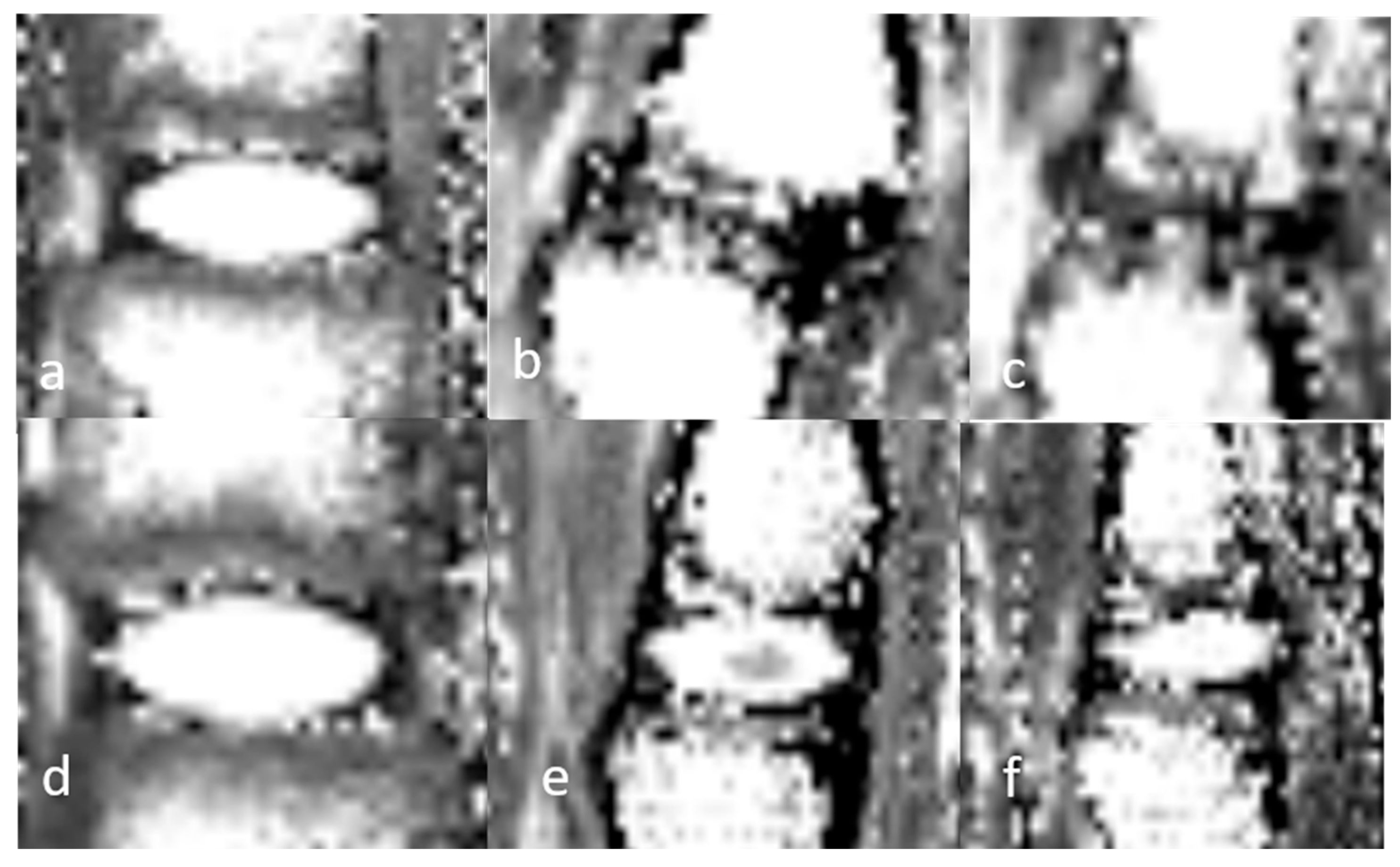 Bioengineering 12 00141 g004