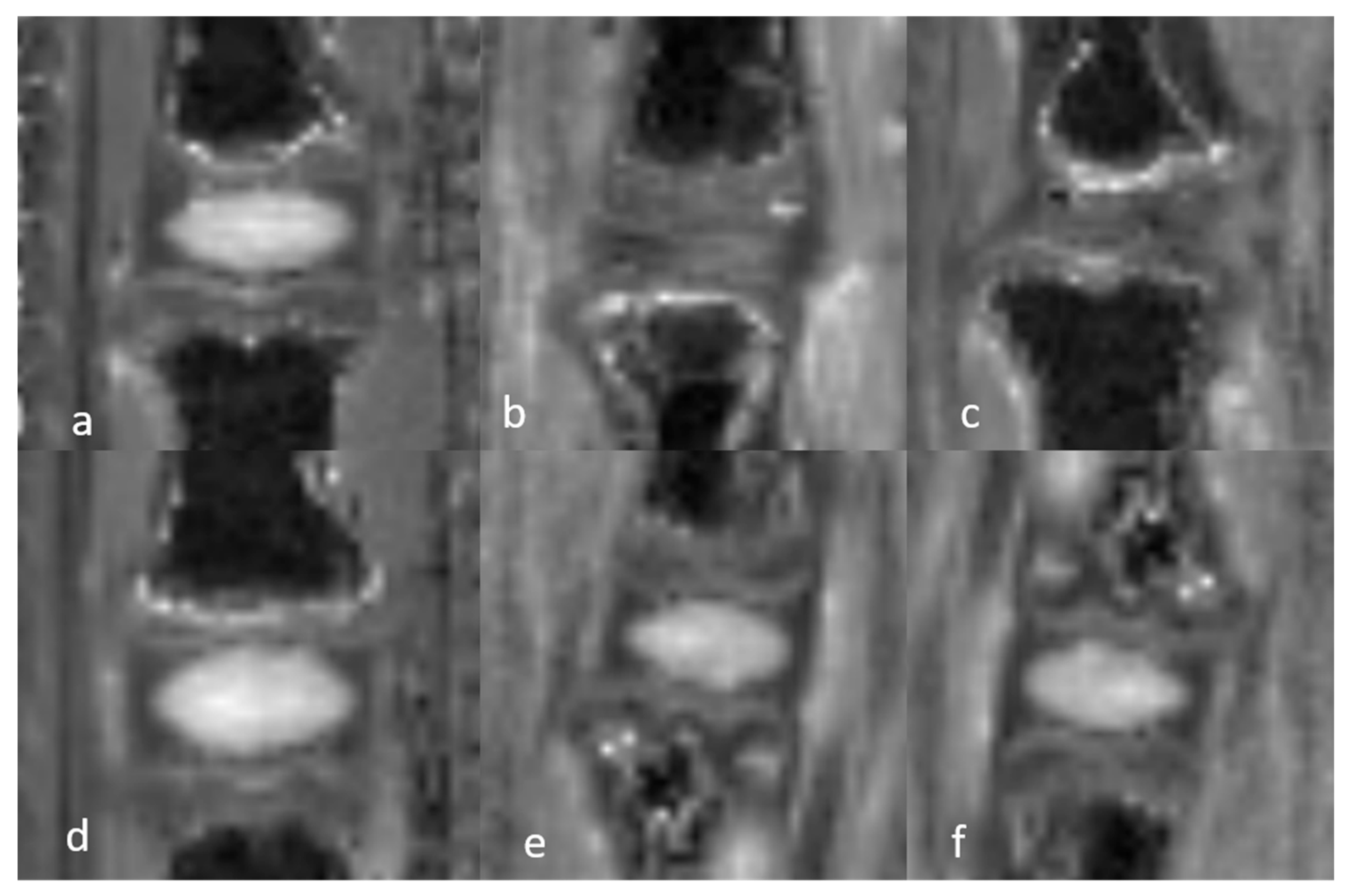 Bioengineering 12 00141 g005