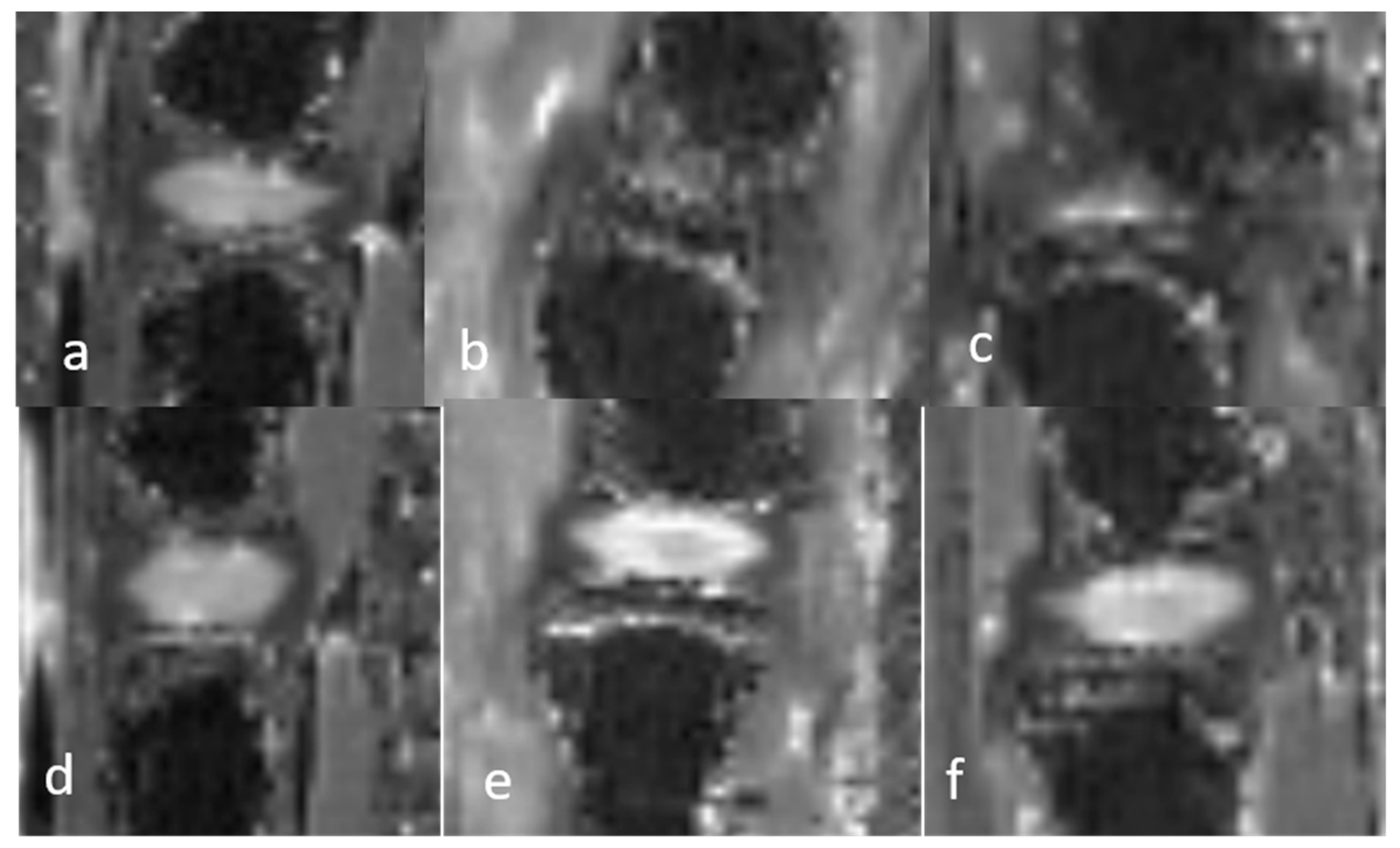 Bioengineering 12 00141 g006