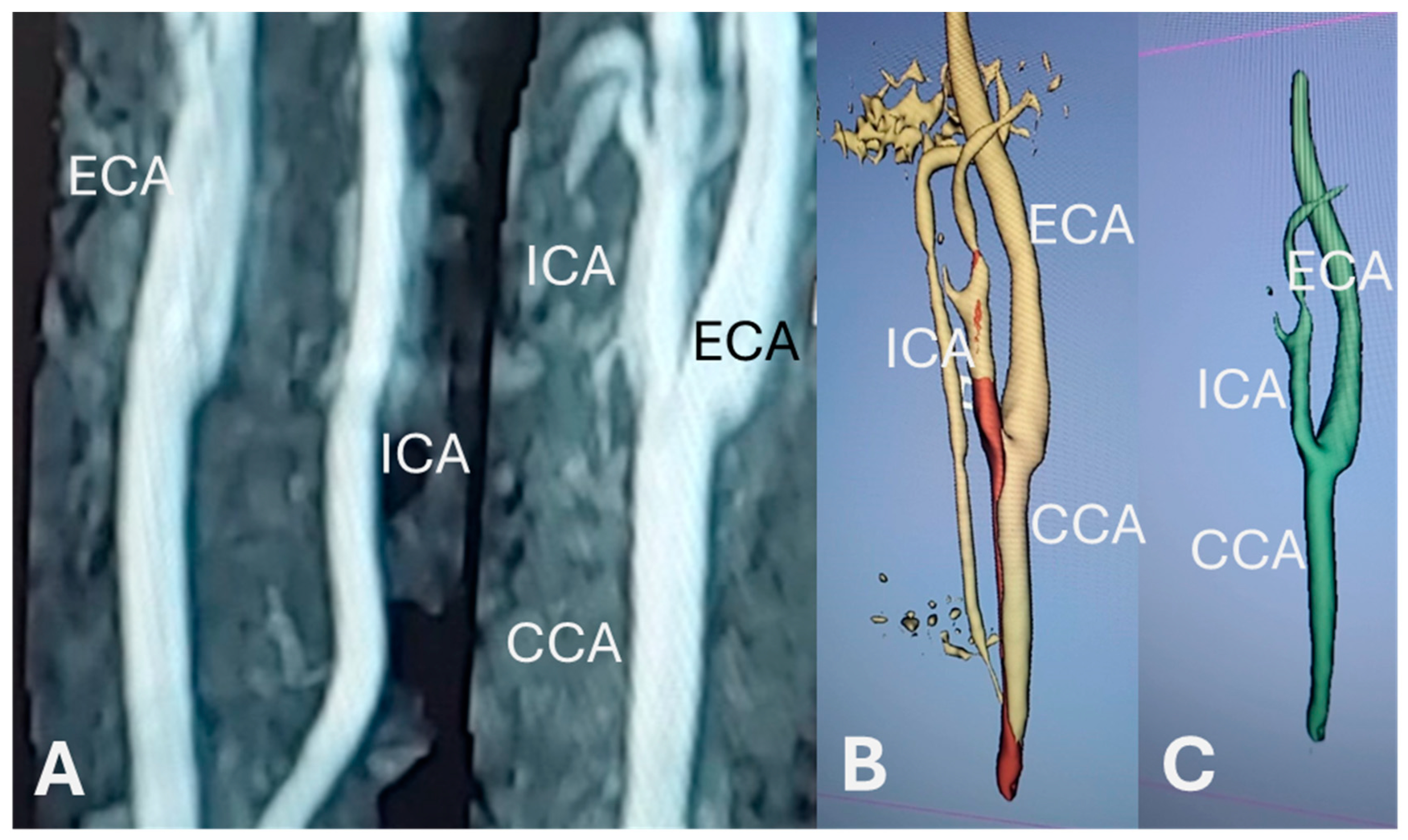 Bioengineering 12 00142 g001