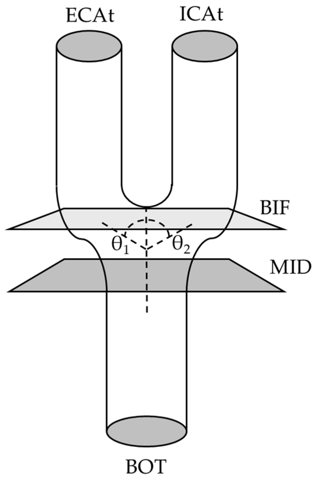 Bioengineering 12 00142 g002