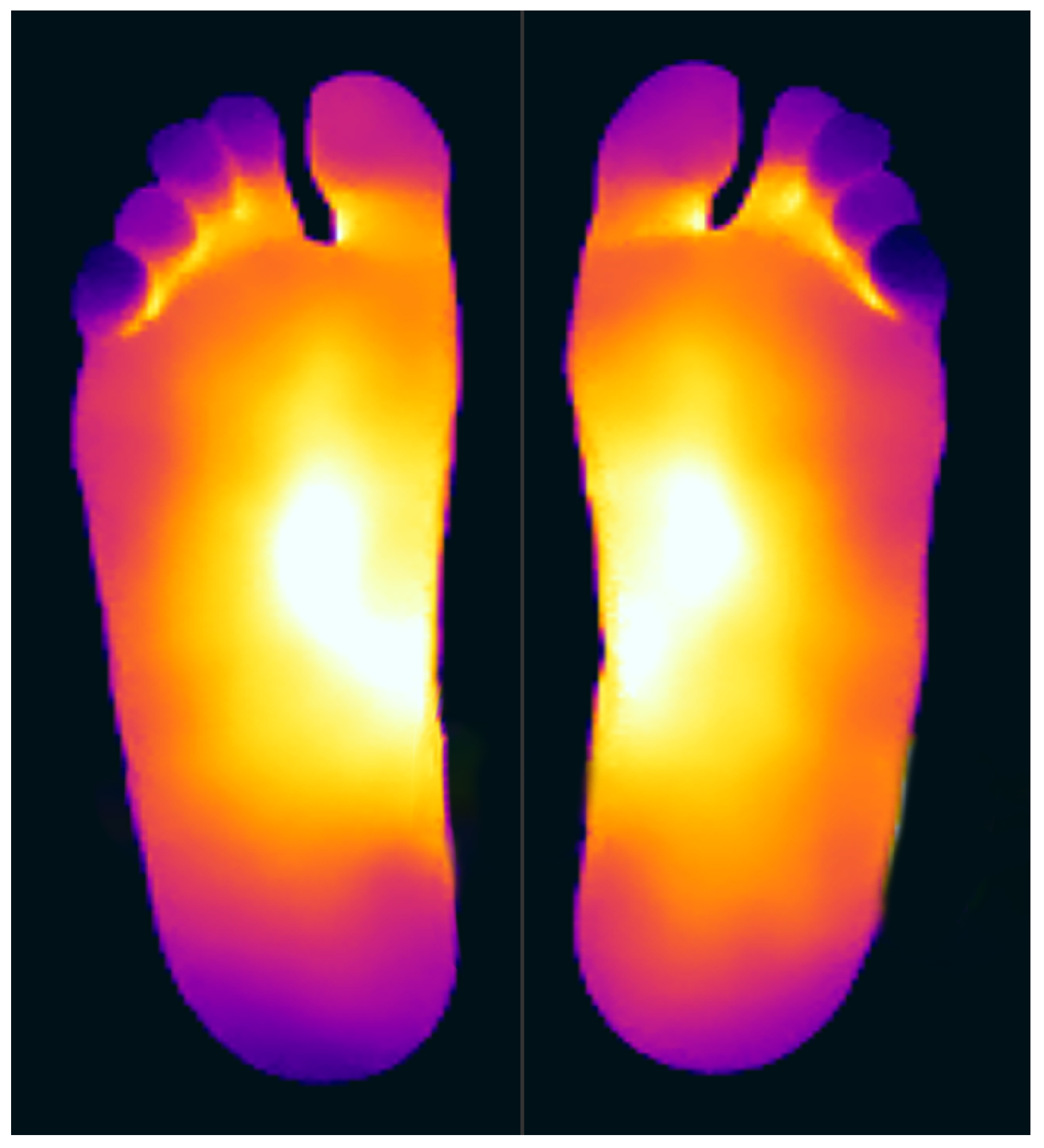 Bioengineering 12 00143 g001