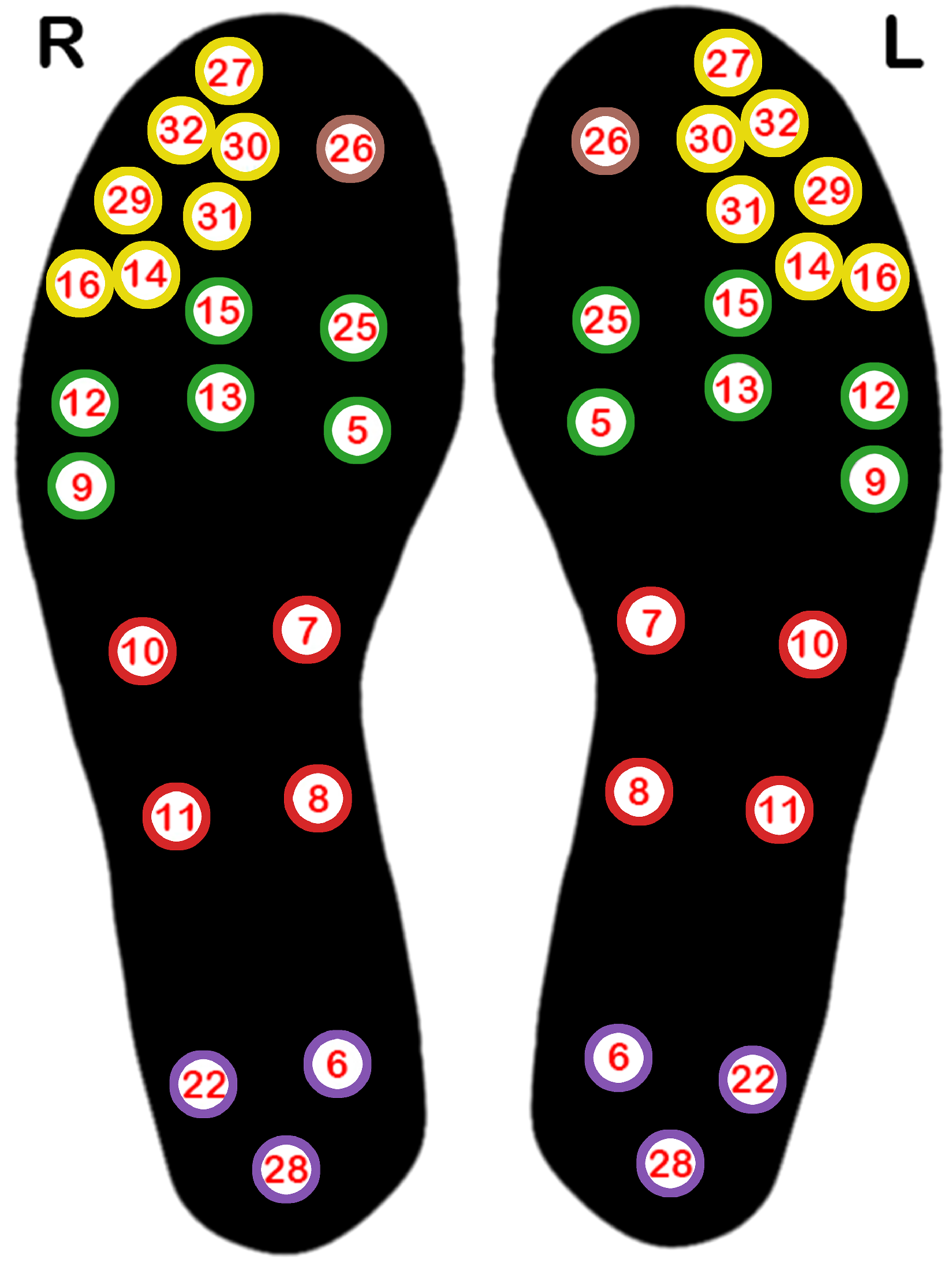 Bioengineering 12 00143 g002