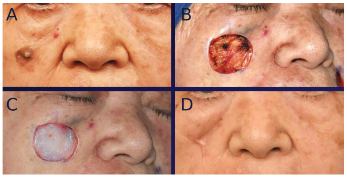 Bioengineering 12 00145 g002