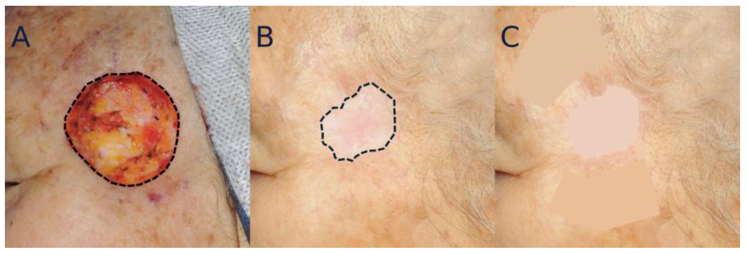 Bioengineering 12 00145 g003