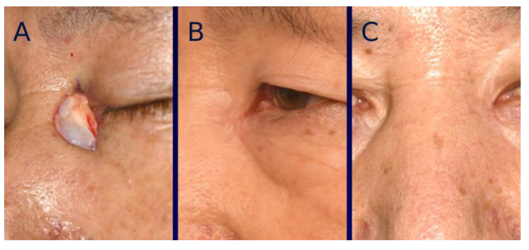 Bioengineering 12 00145 g006