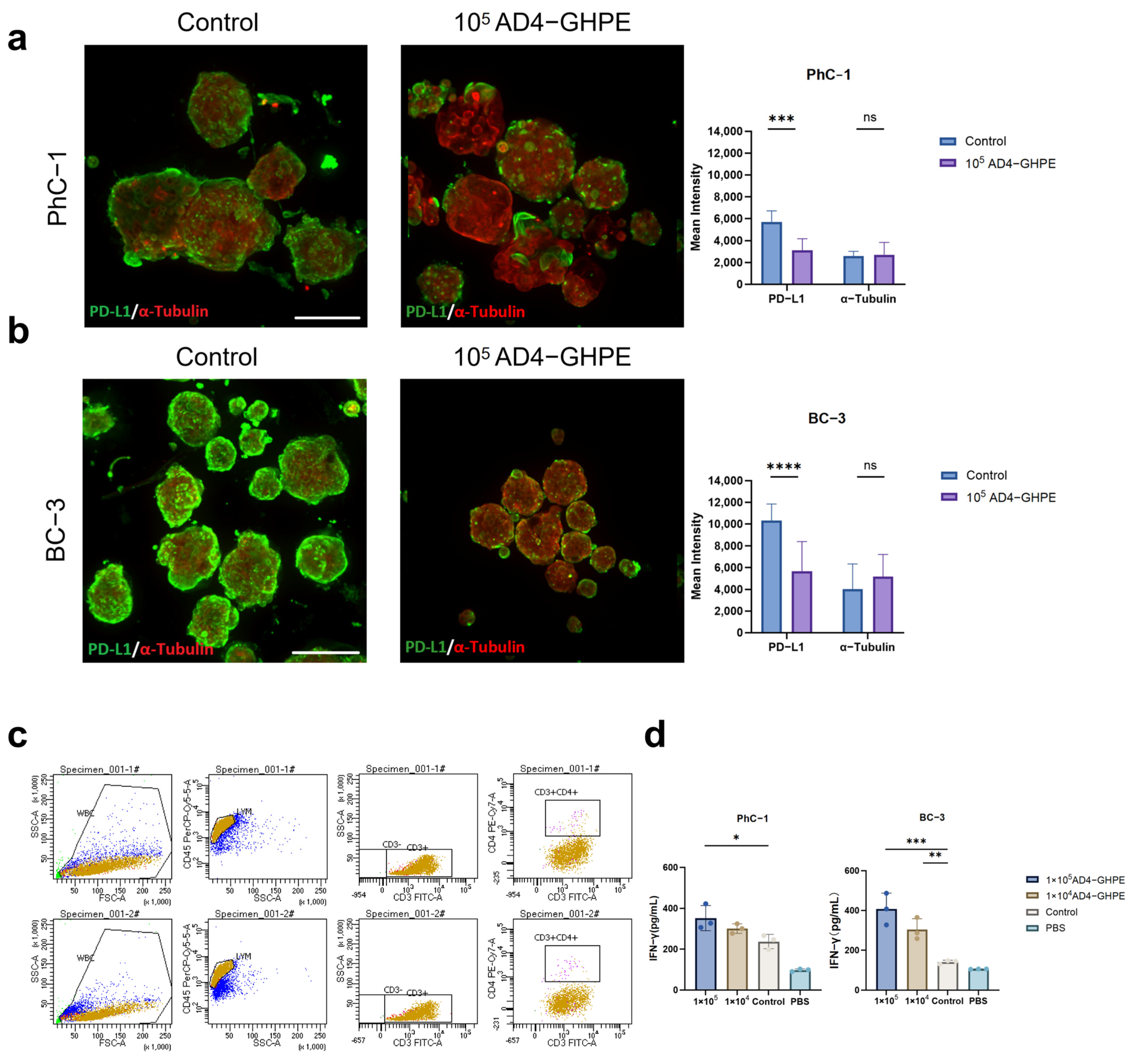 Bioengineering 12 00146 g004