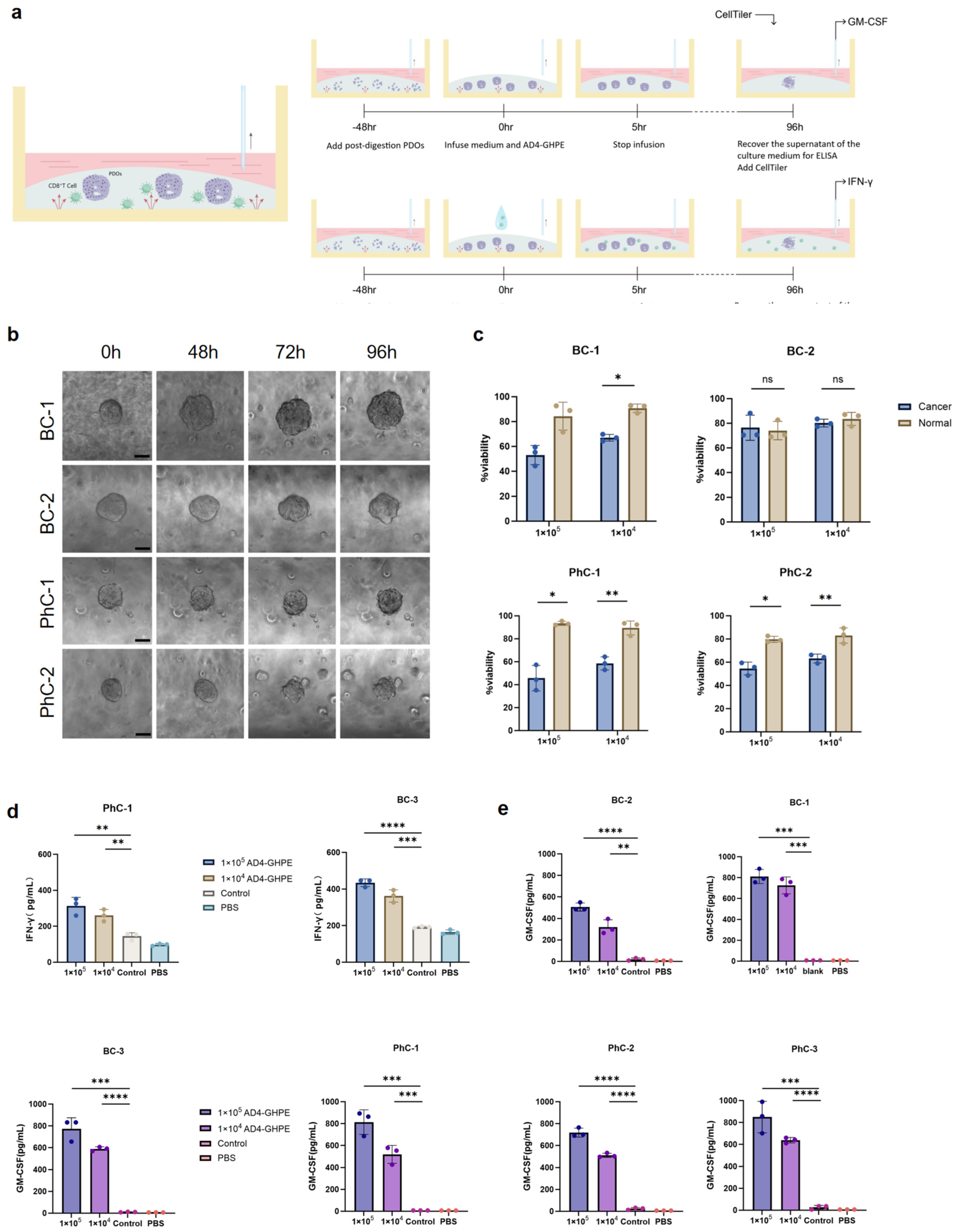 Bioengineering 12 00146 g006