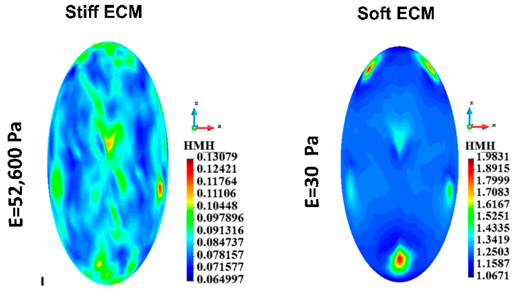 Bioengineering 12 00147 g007