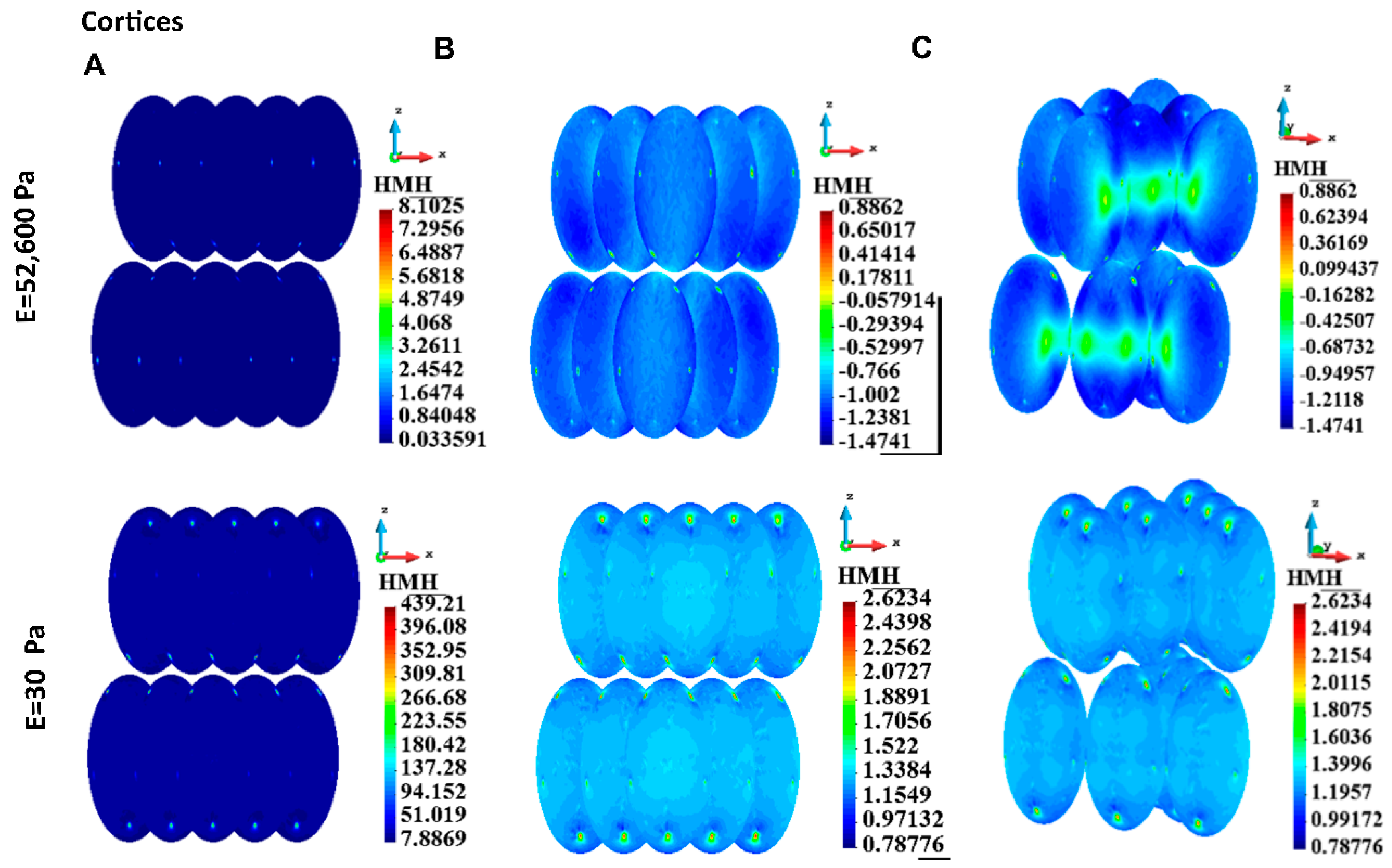 Bioengineering 12 00147 g008