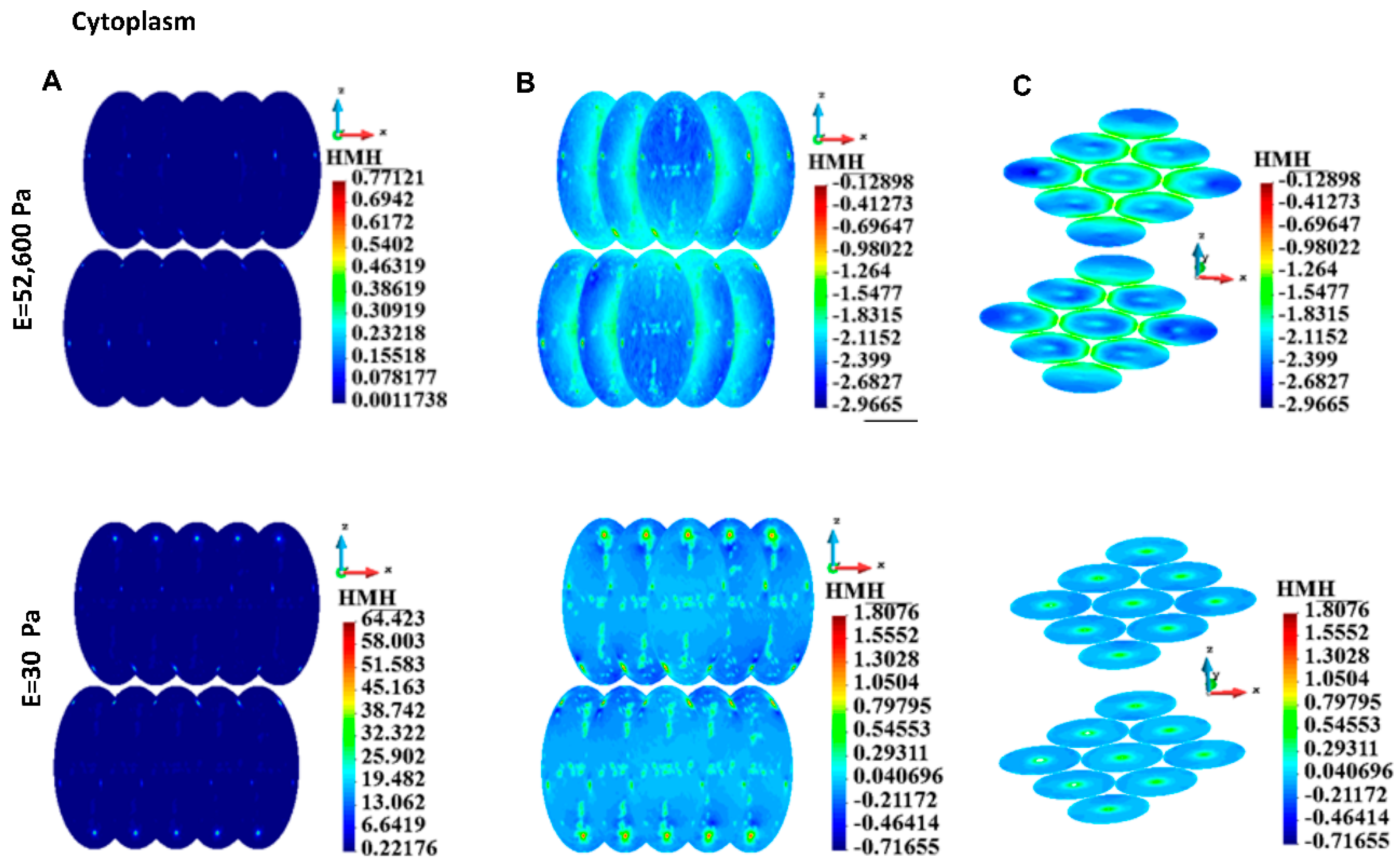 Bioengineering 12 00147 g010