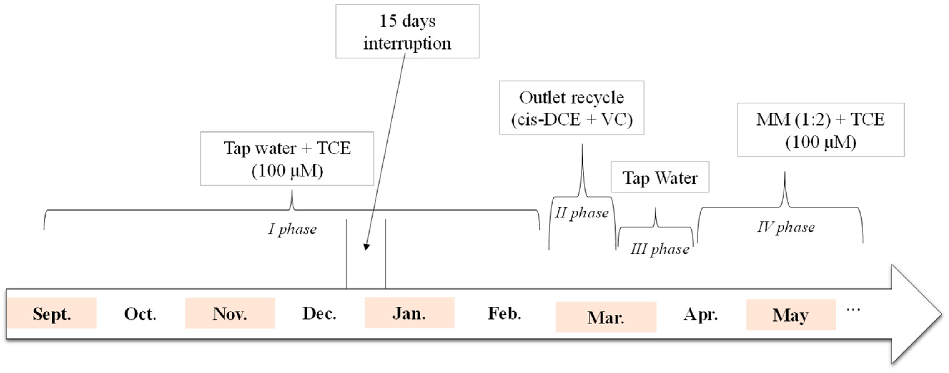 Bioengineering 12 00148 g001