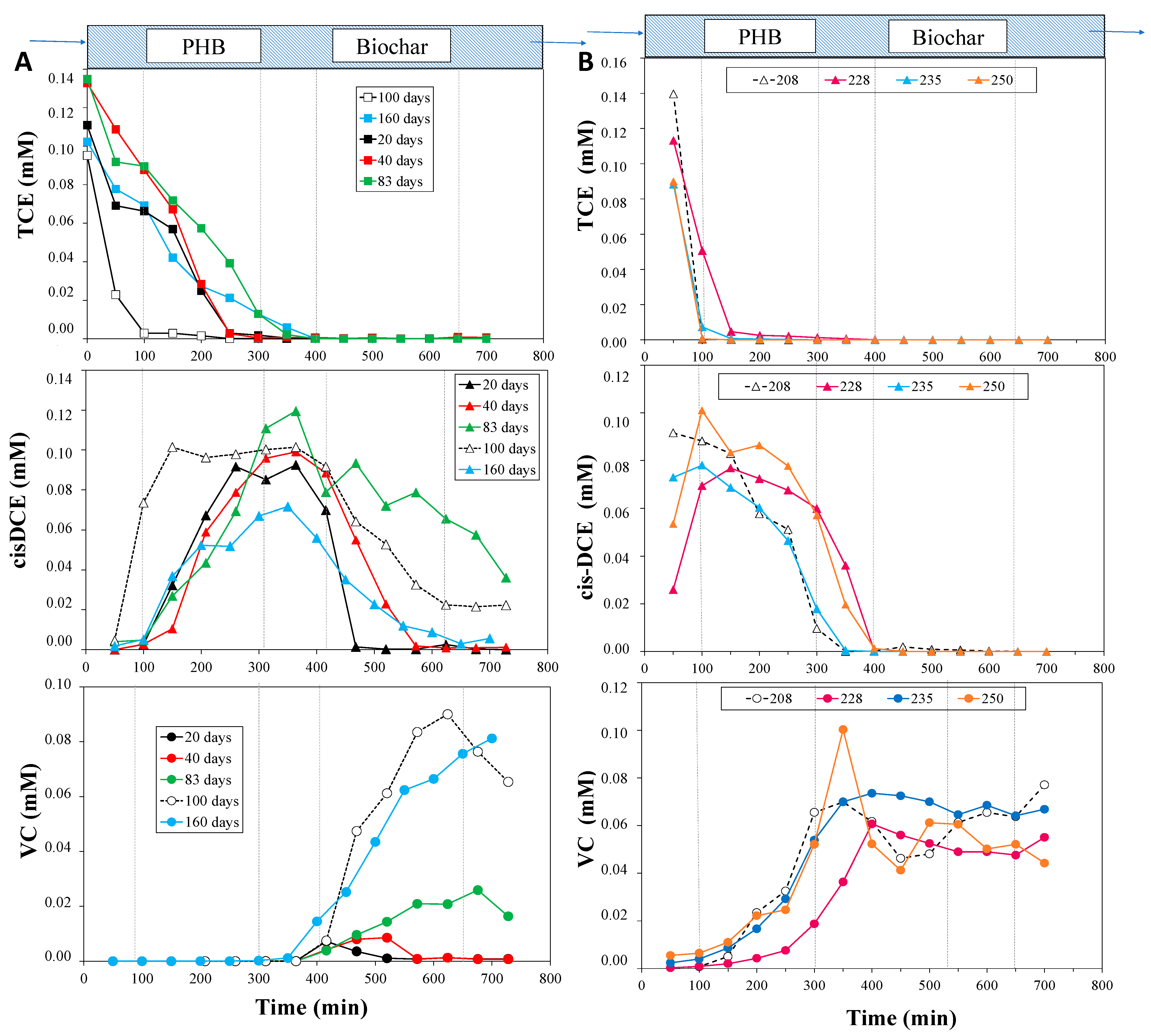 Bioengineering 12 00148 g002
