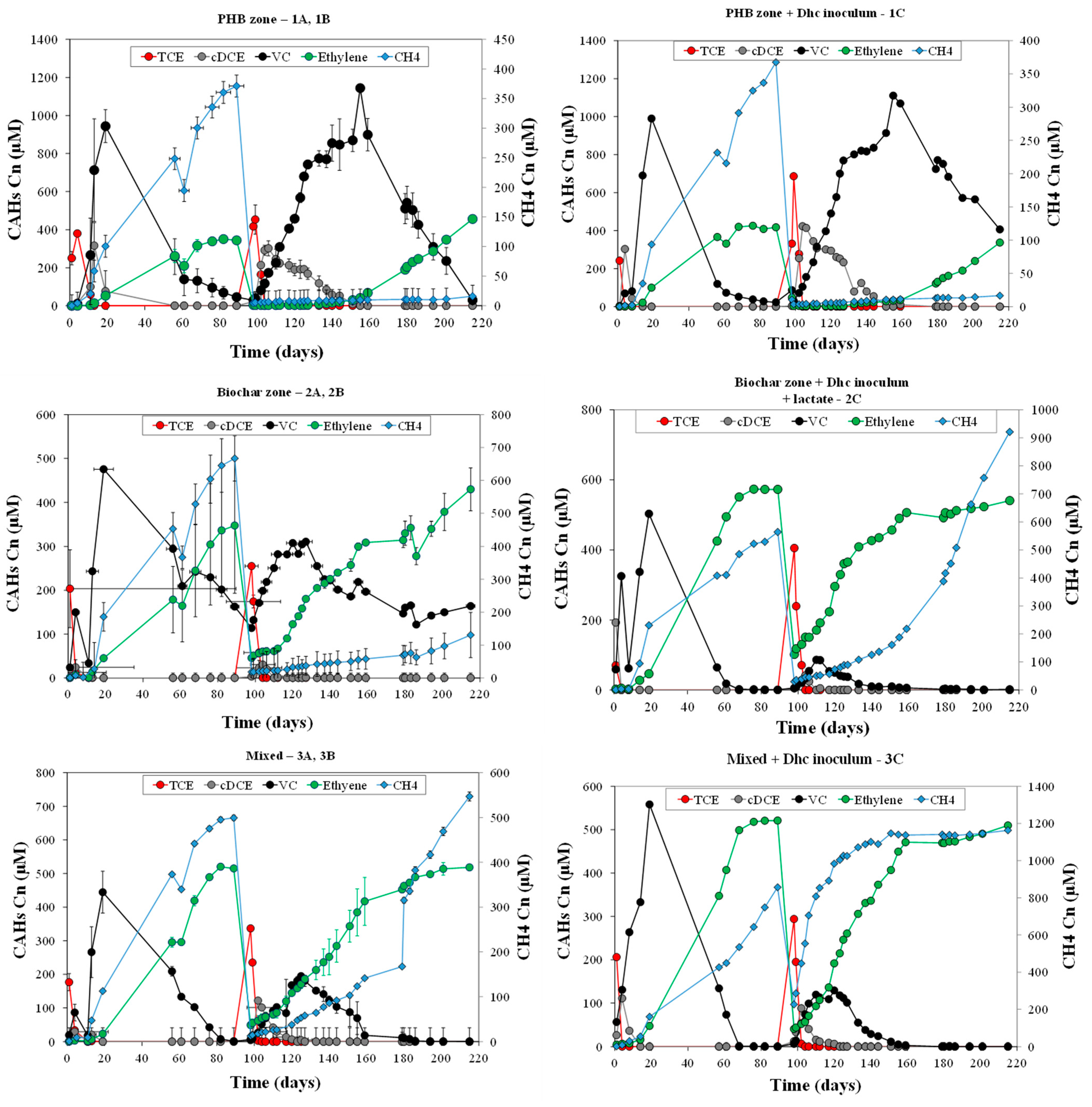 Bioengineering 12 00148 g005