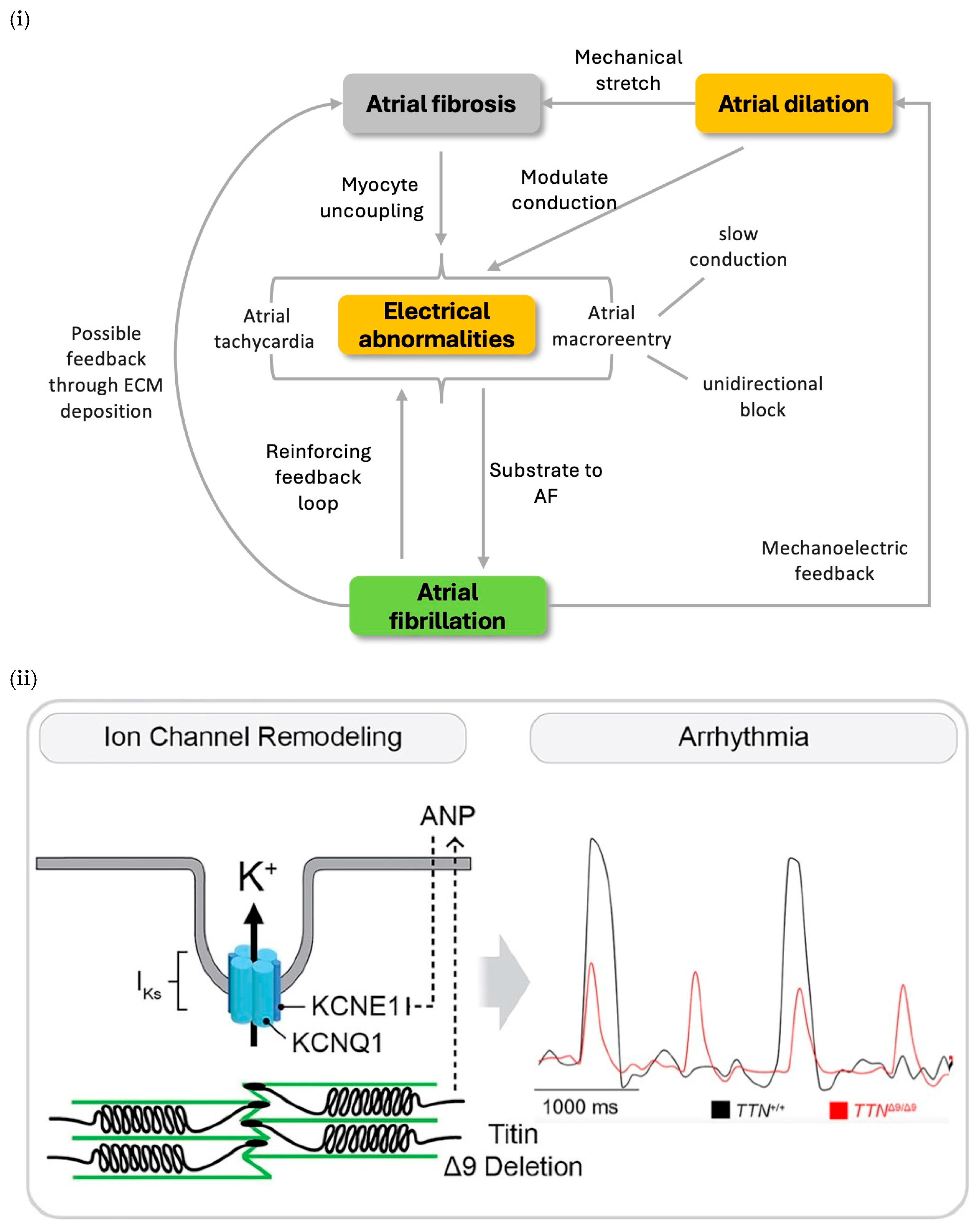 Bioengineering 12 00149 g001a